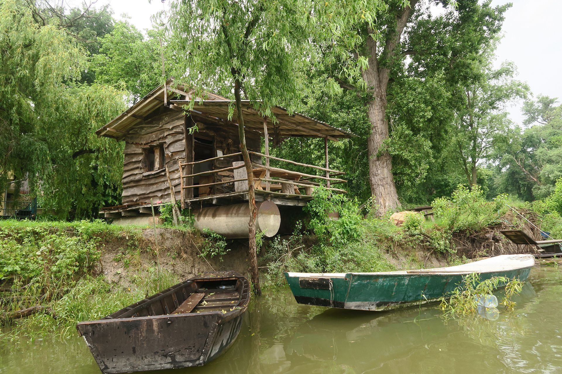 VARLJIVO LETO U ČORTANOVCIMA