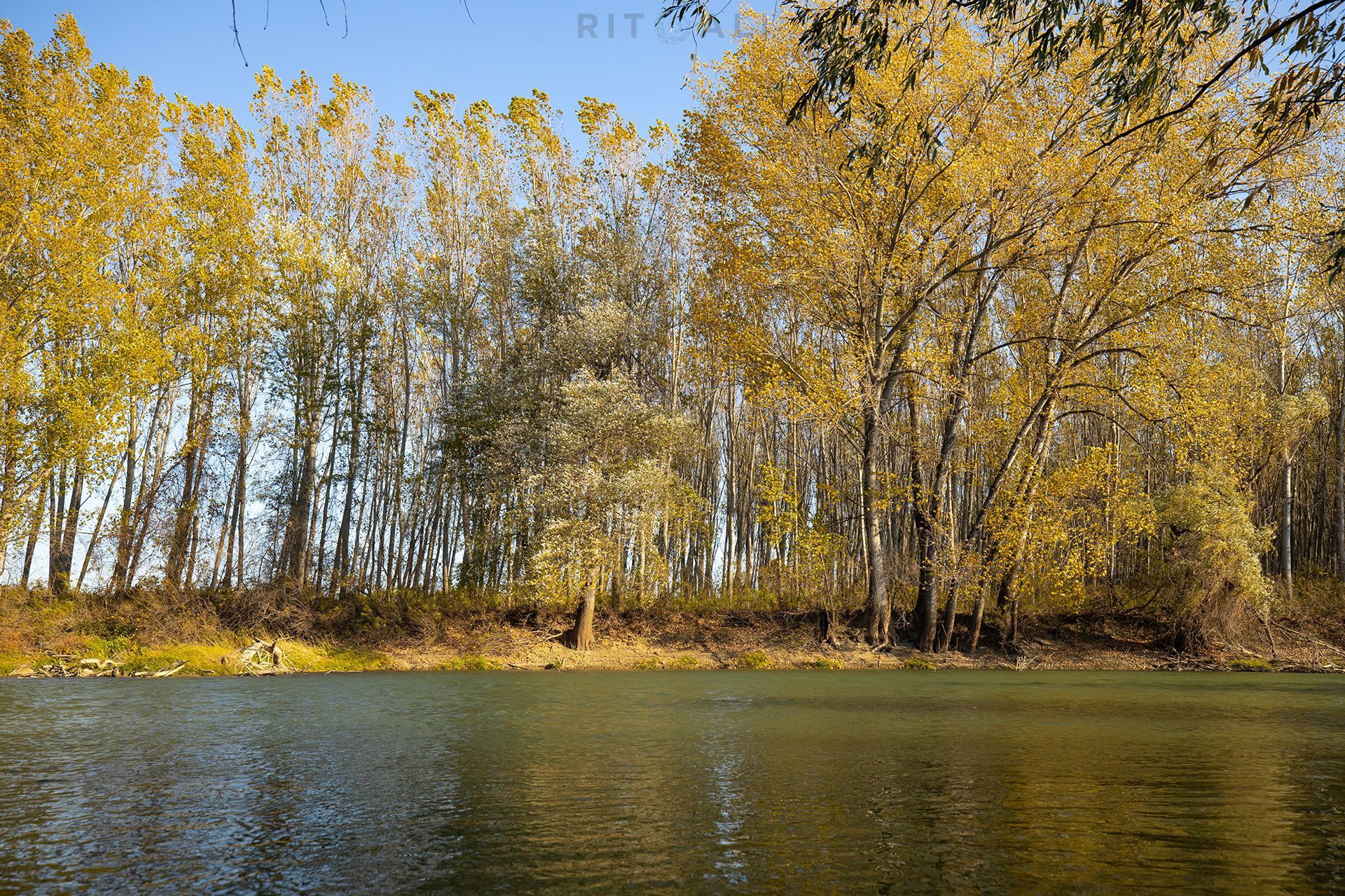REKA TAMIŠ. GLOGONJ. JESEN NA KAJAKU