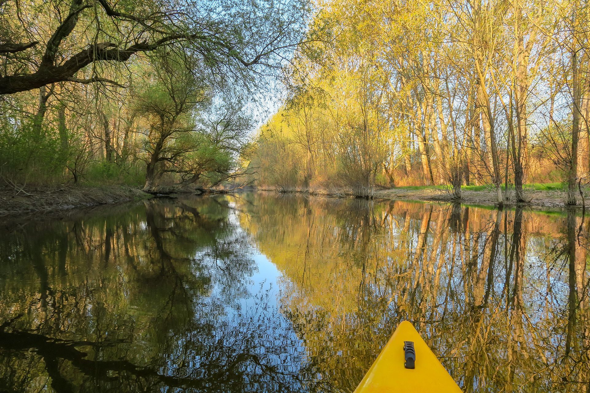 GARDINOVACKI RUKAVAC. PROLEĆNA SEKCIJA