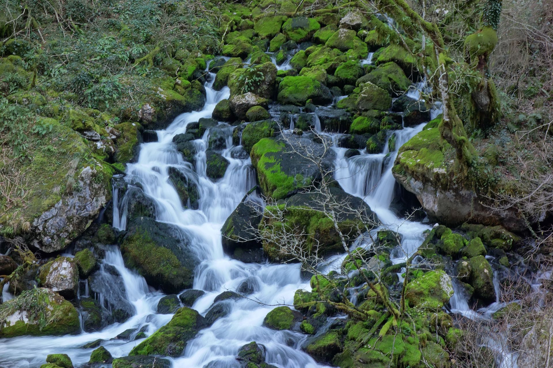 PLANINA SINJAJEVINA. KANJON MRTVICE