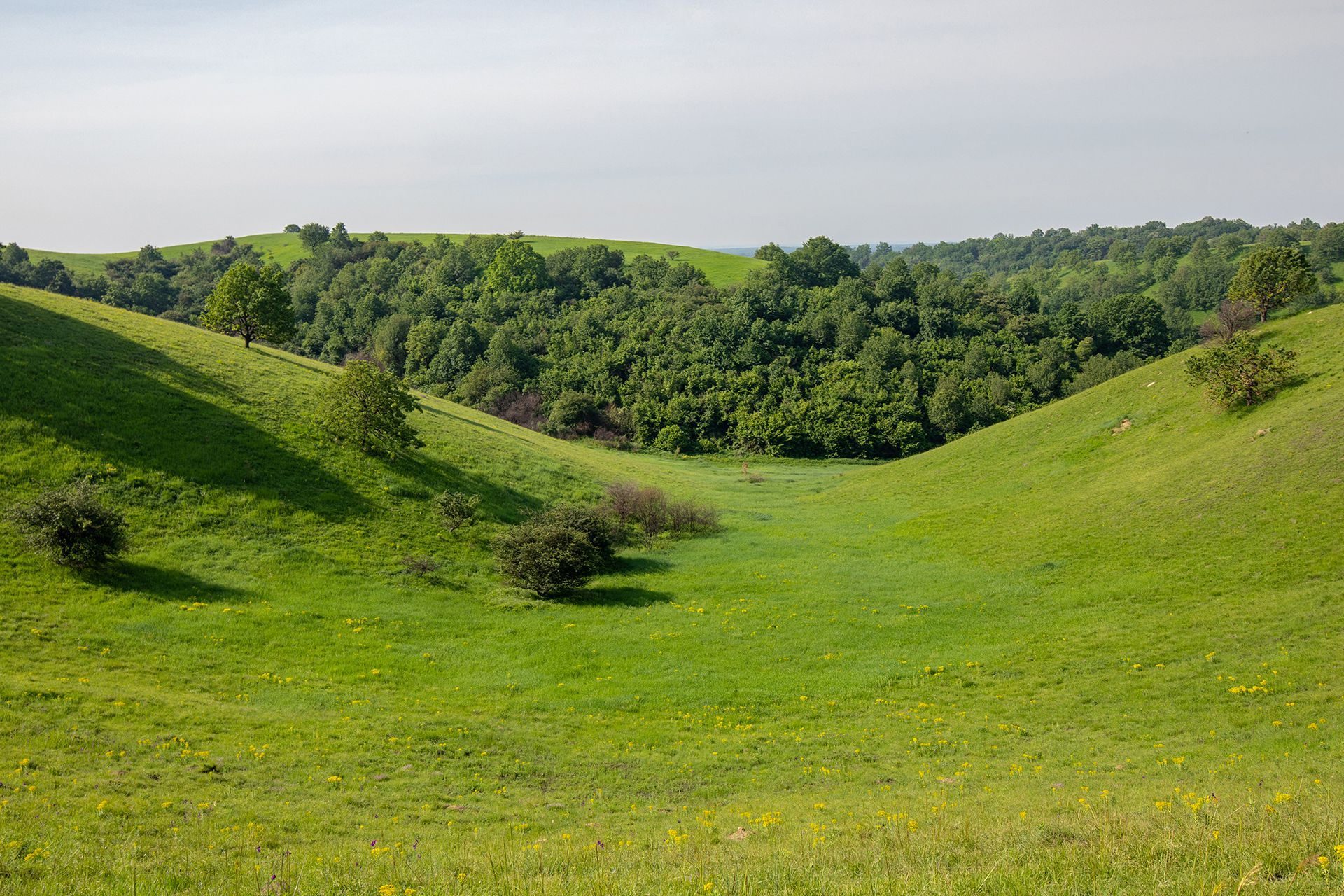 ZAGAJIČKA BRDA. PROGRAM U BOJI