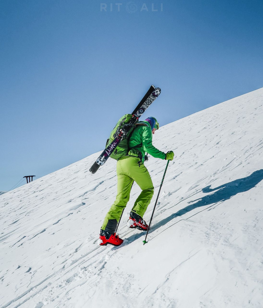 sar planina brezovica