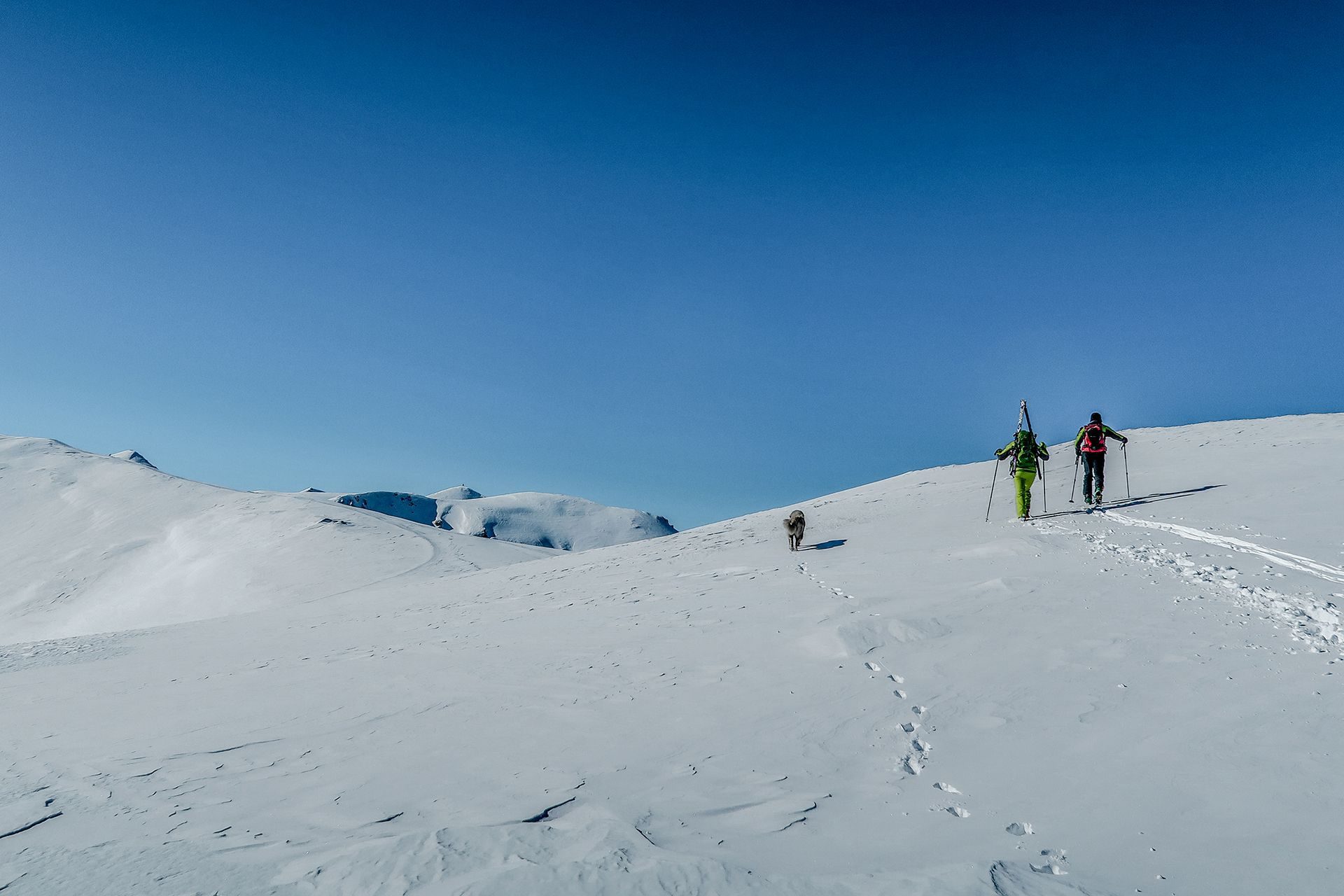 ŠAR PLANINA. SKI TOURING POPOVA ŠAPKA.