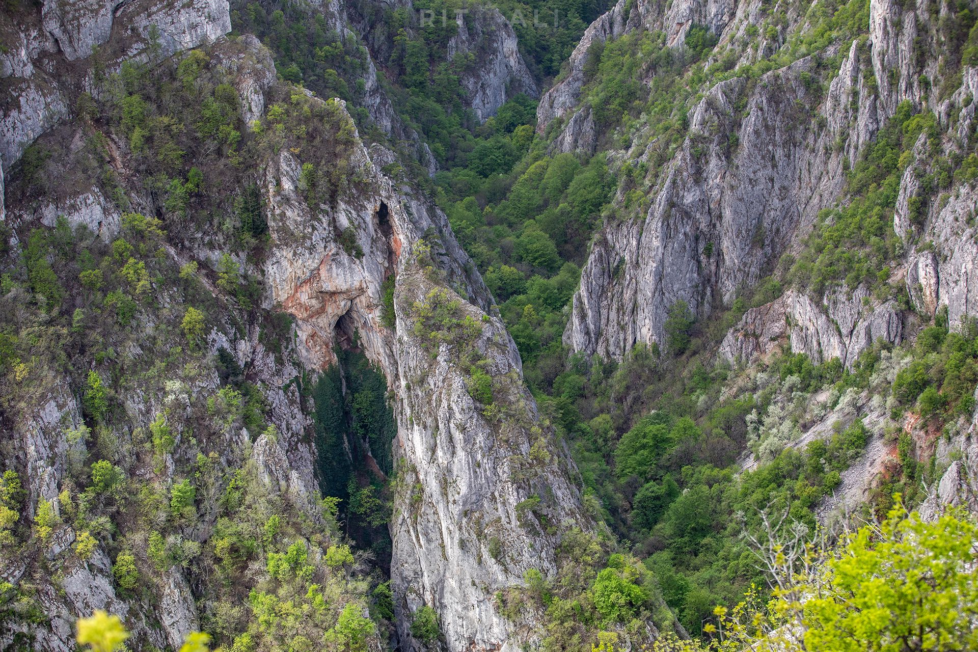 LAZAREV KANJON. VIDIKOVAC KOVEJ