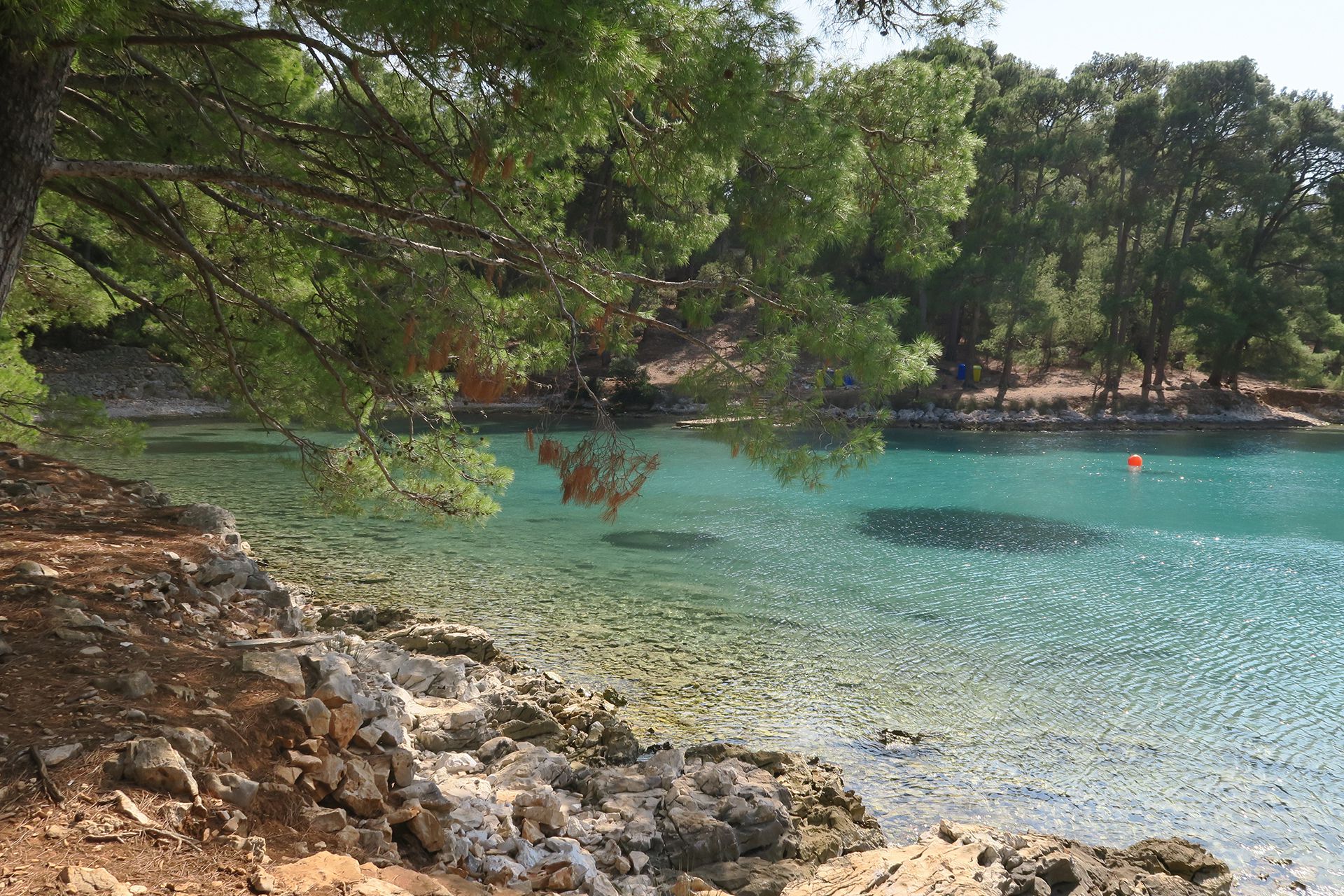 OTOK  LOŠINJ – PUTEVIMA MEDITERANSKIH DELFINA