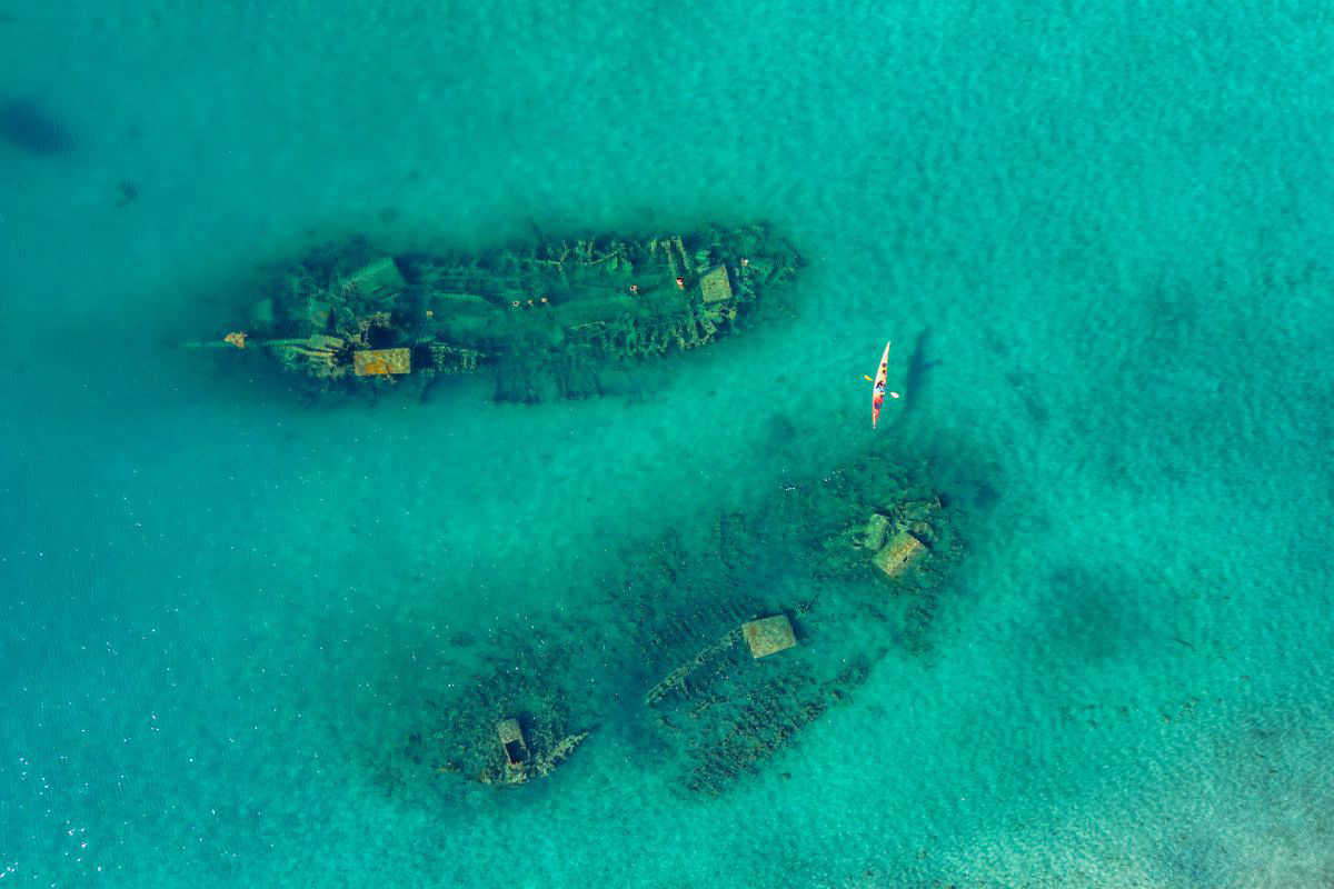 DUGI OTOK. PLES MEDITERANSKIH OLUPINA