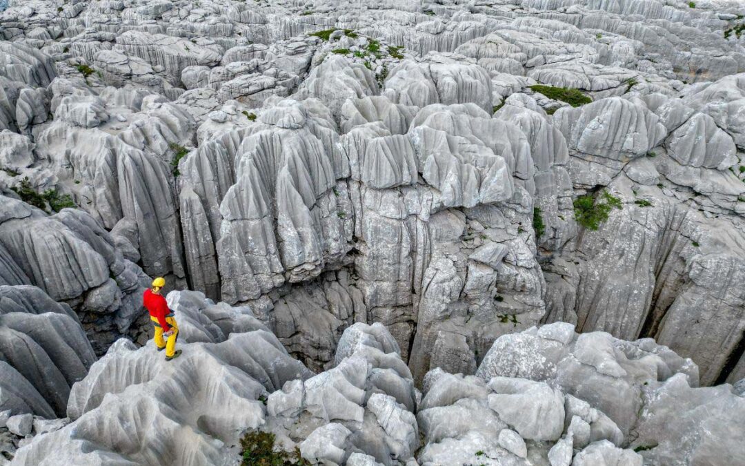 TREŠTENI VRH. CRNOGORSKA EPOPEJA