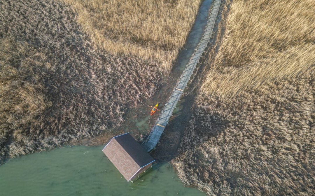 JEZERO TISA. MAGIJA ZIME U MOČVARI