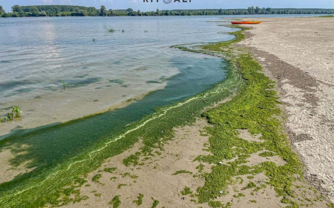 BELEGIŠKA ADA. TROPSKA PEŠČANA OSTRVCA