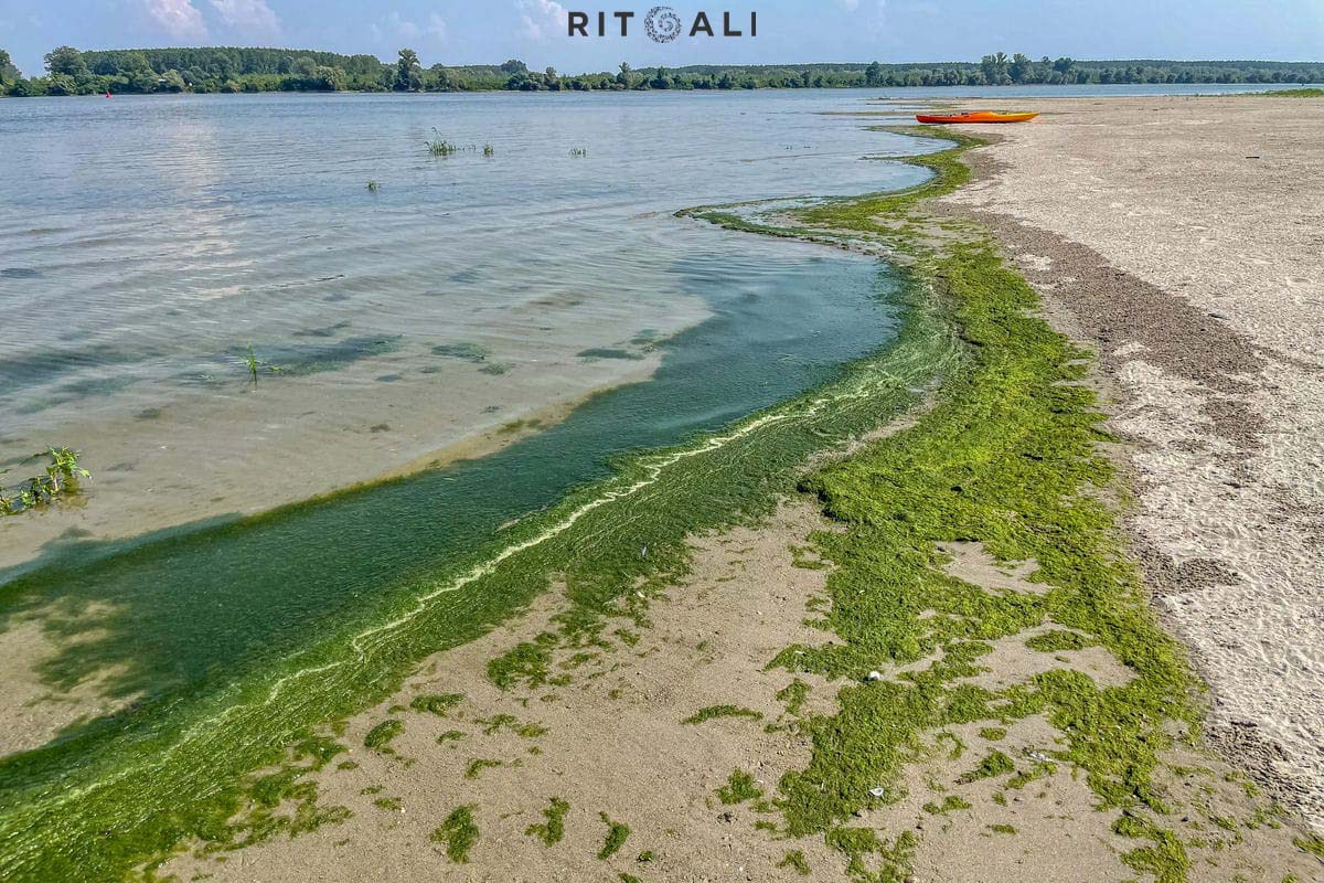BELEGIŠKA ADA. TROPSKA PEŠČANA OSTRVCA