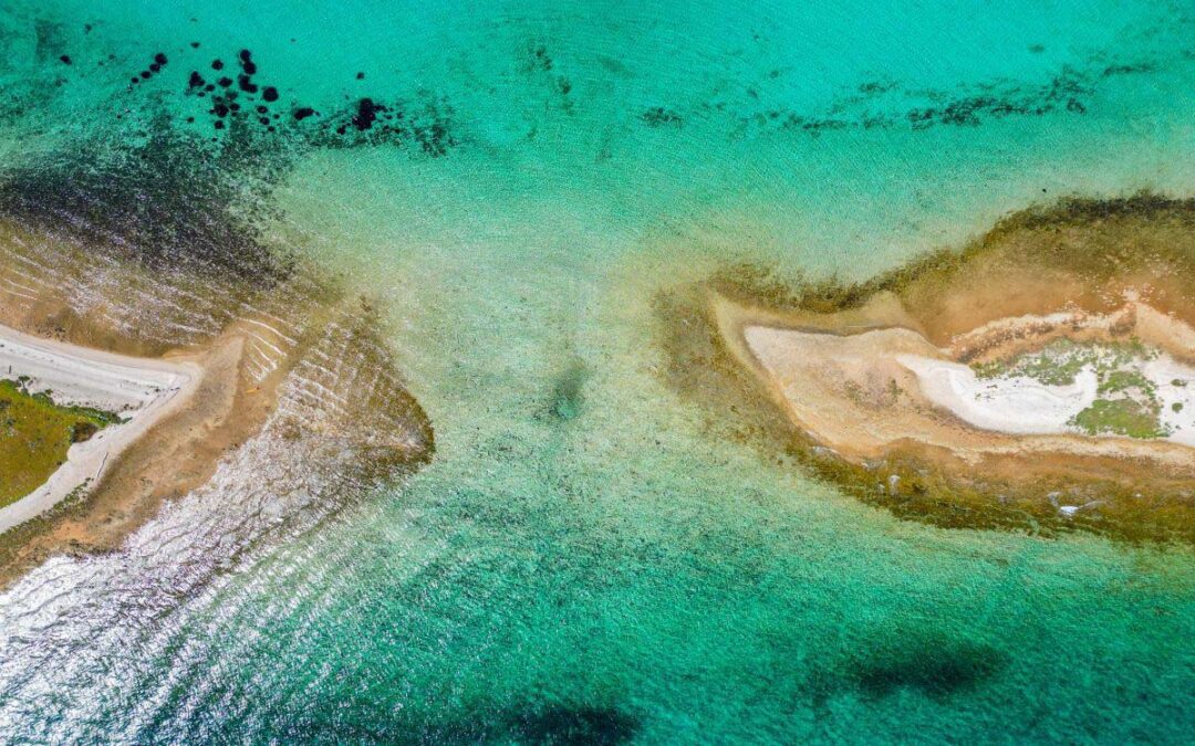 OTOK OLIB. MEDITERANSKA FJAKA