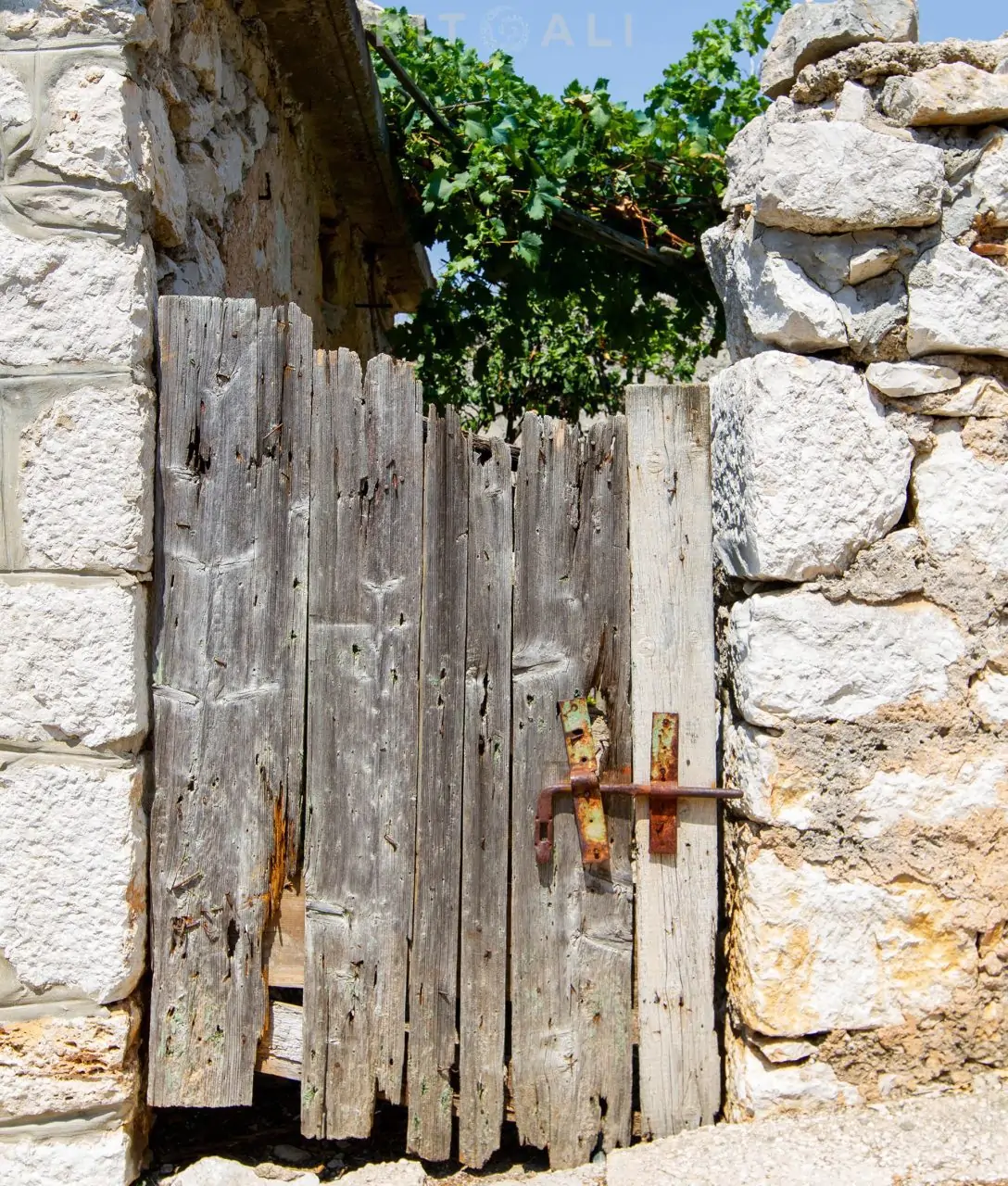 OTOK LASTOVO. ŠARENI UM U PARKU PRIRODE