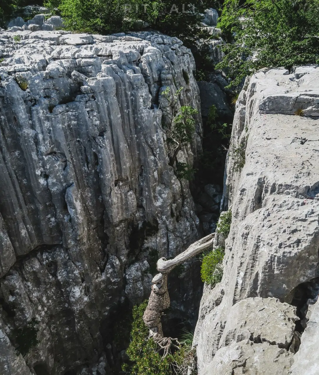 ORJEN. SUBRIN PLATO. DOBROŠTICA. ODIJEVO