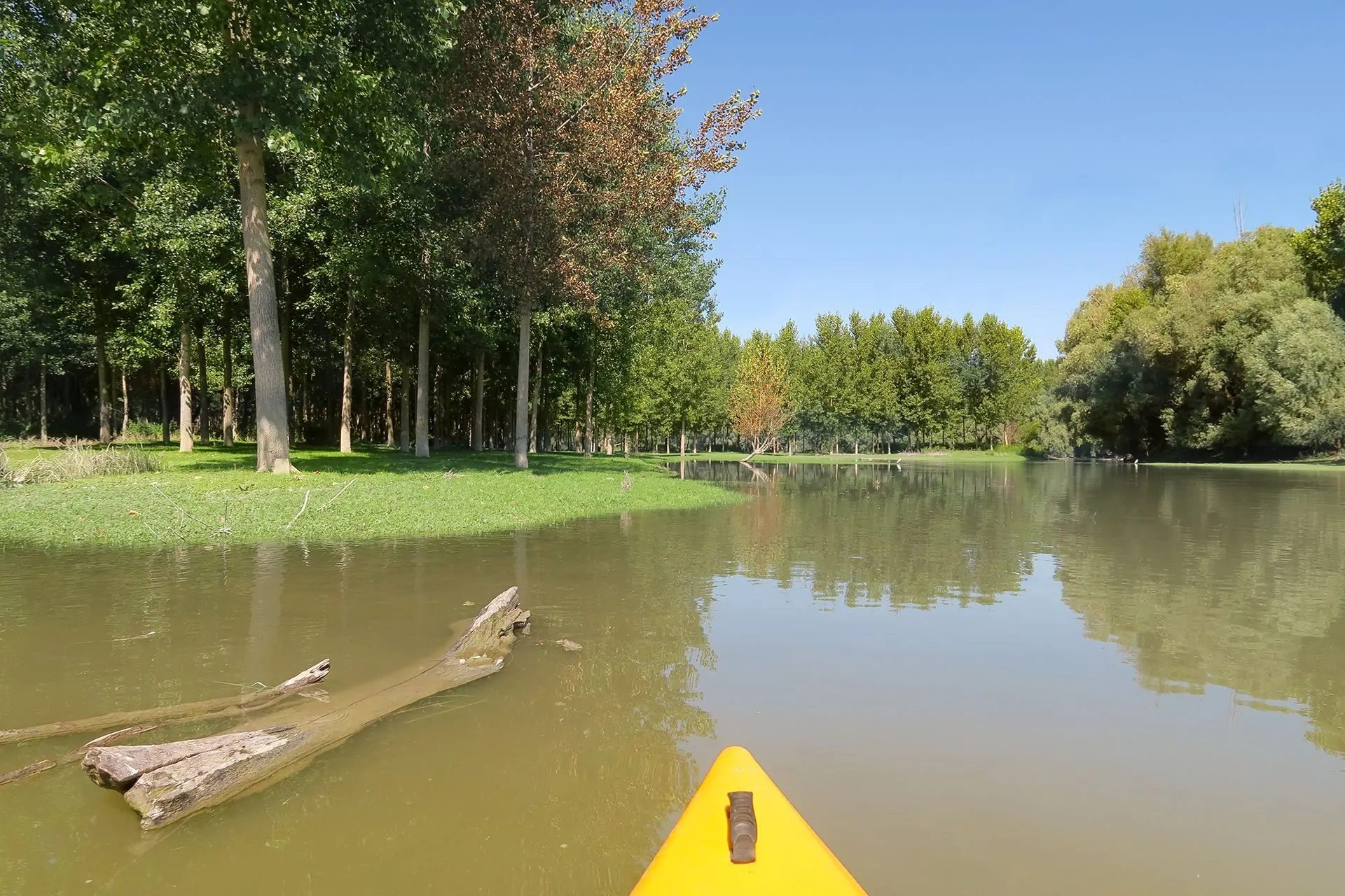 NEŠTINSKA ADA. DUNAVSKE SRETNE BOJE
