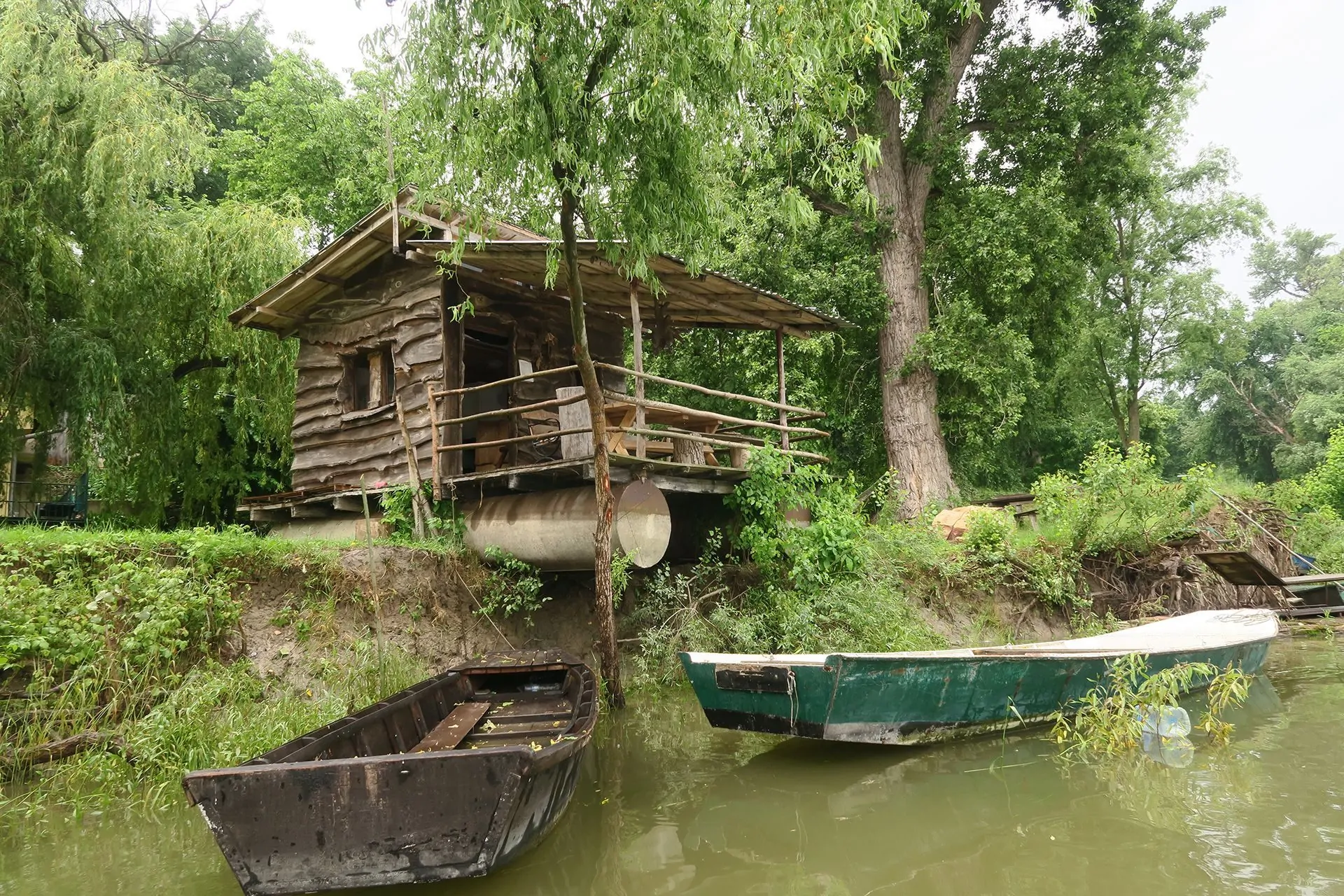 VARLJIVO LETO U ČORTANOVCIMA