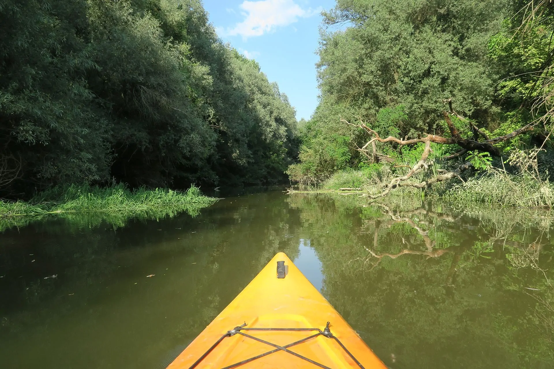 GARDINOVACKI RUKAVAC. NA KRAJU SVETA