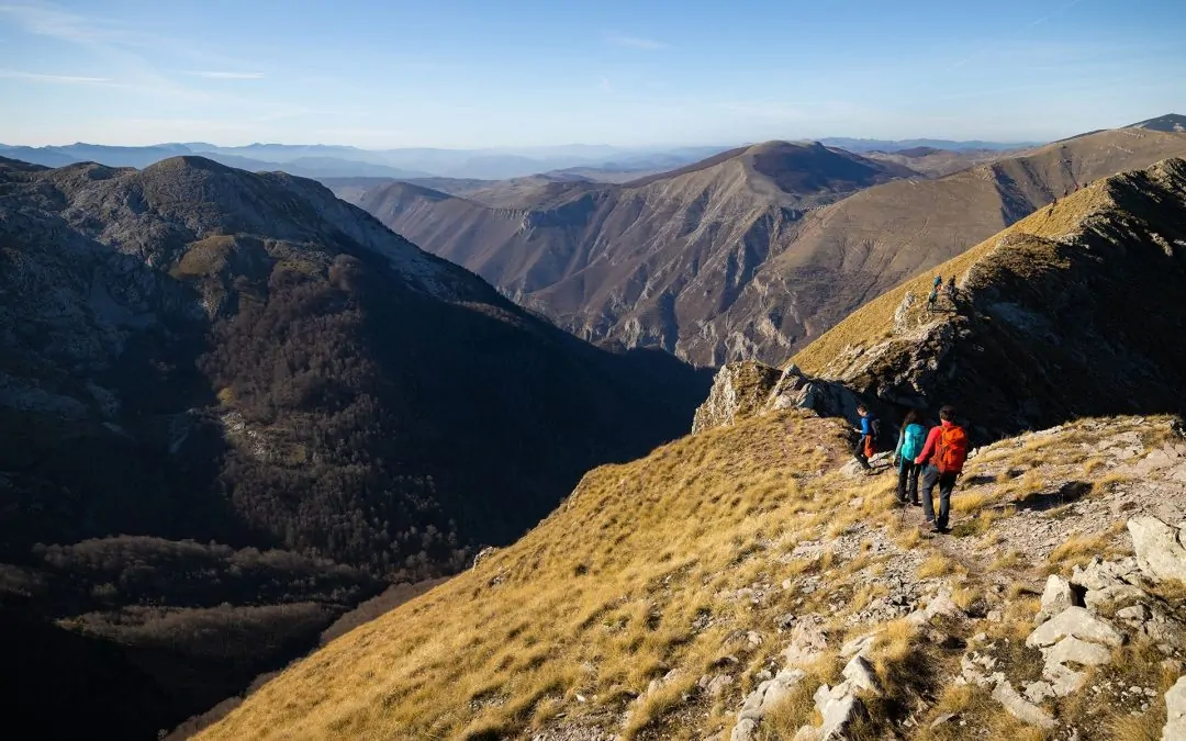 Nestvarna grebenska avantura