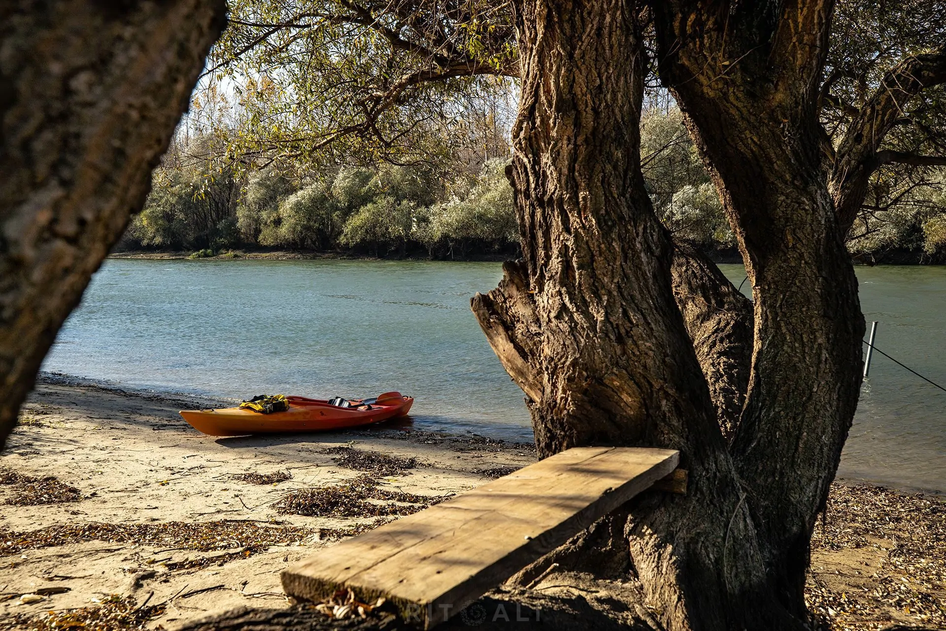 REKA TAMIŠ. GLOGONJ. JESEN NA KAJAKU