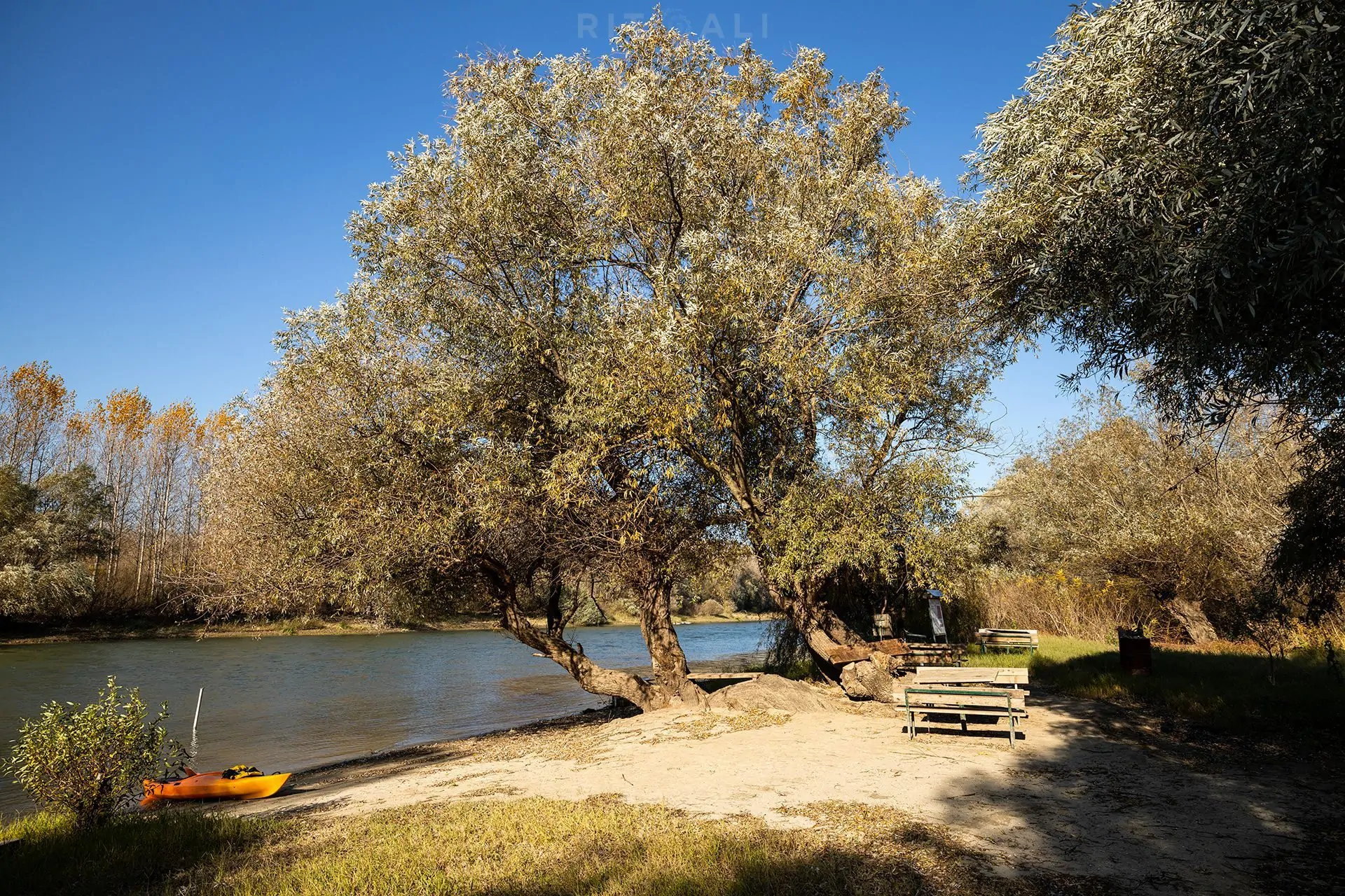 REKA TAMIŠ. GLOGONJ. JESEN NA KAJAKU