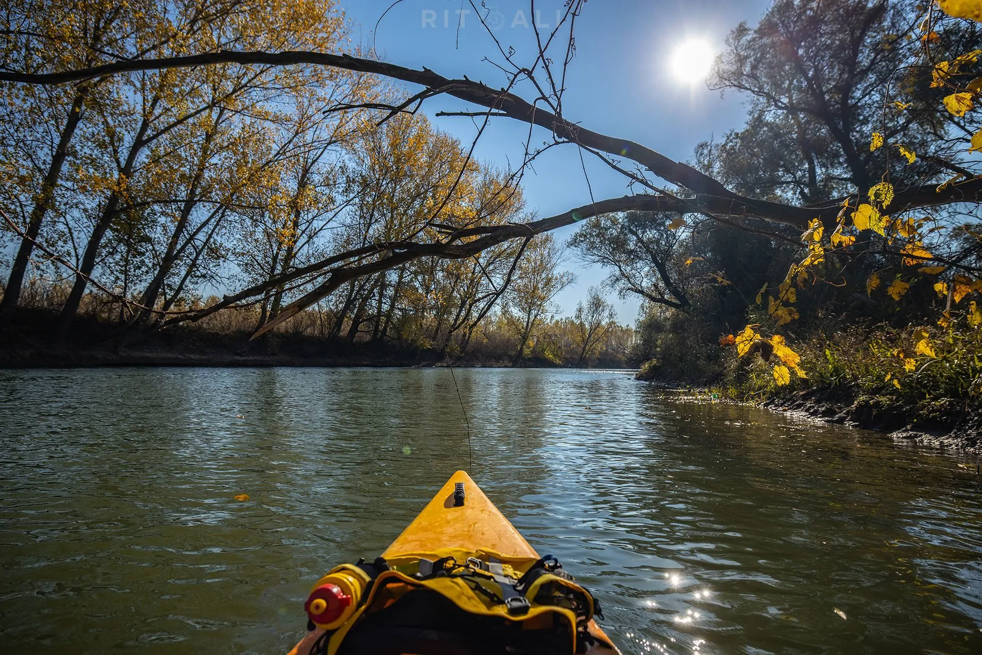 REKA TAMIŠ. GLOGONJ. JESEN NA KAJAKU
