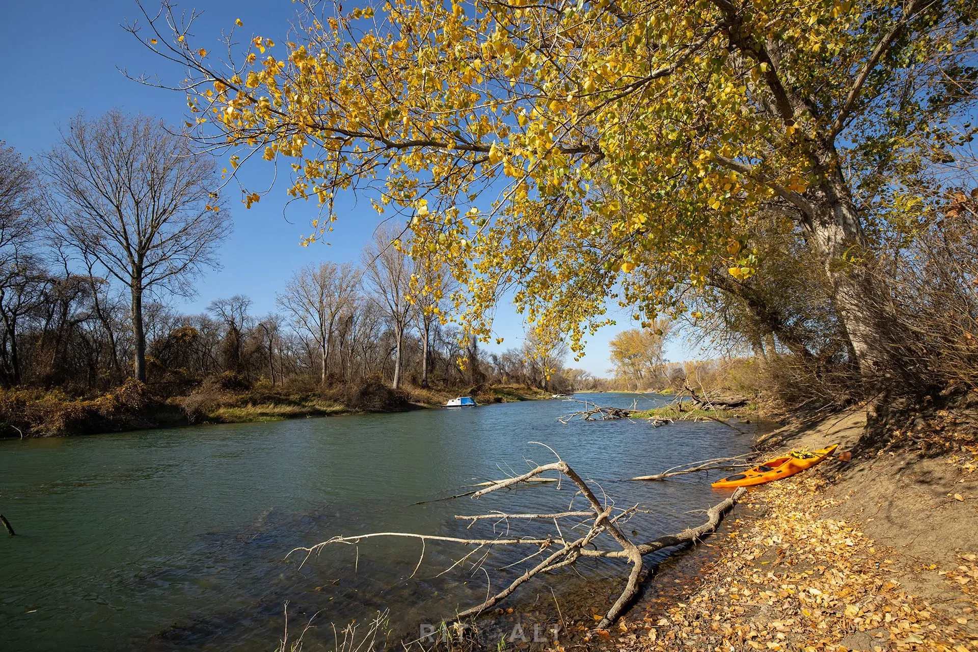 REKA TAMIŠ. GLOGONJ. JESEN NA KAJAKU