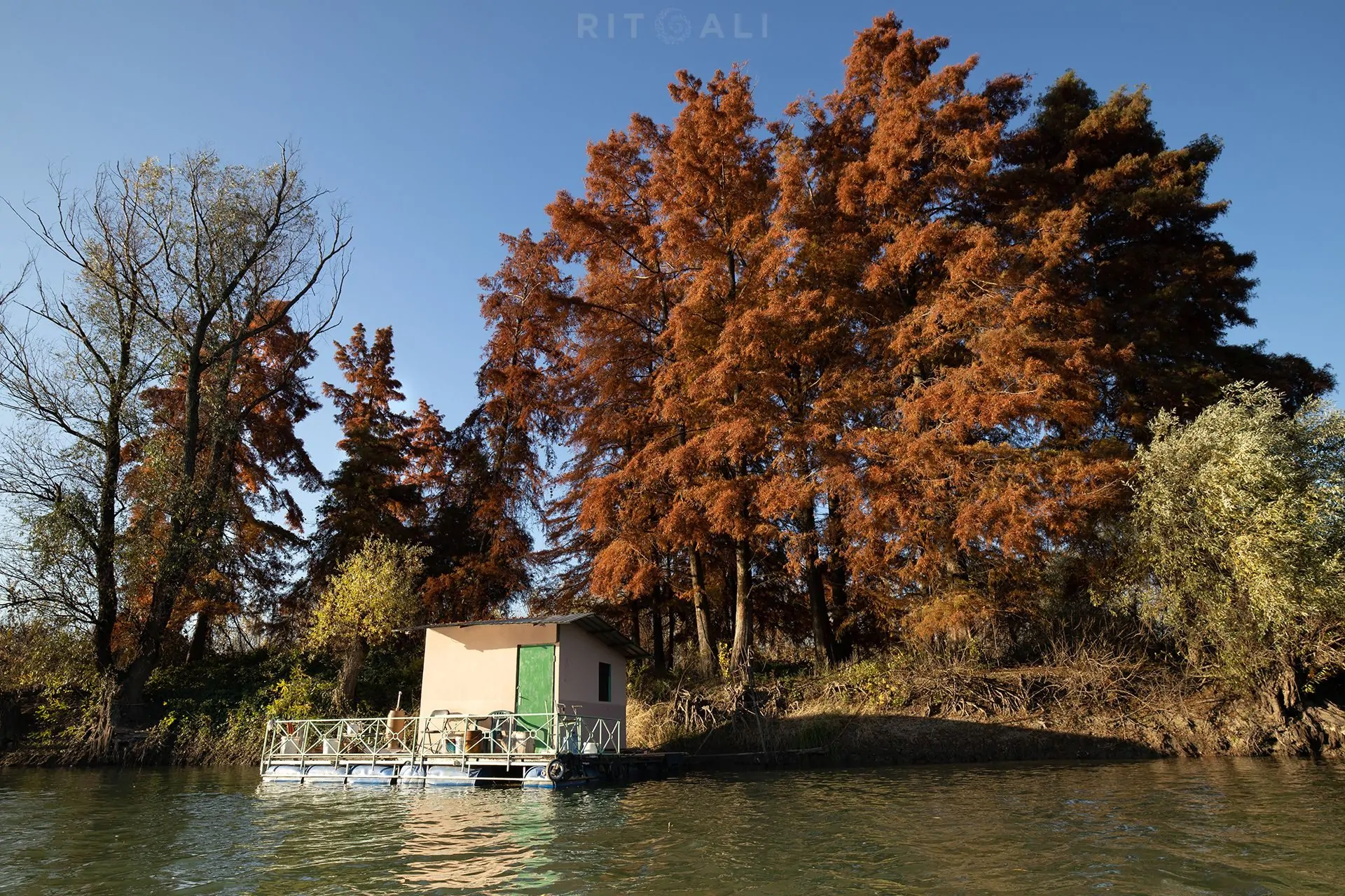 REKA TAMIŠ. GLOGONJ. JESEN NA KAJAKU