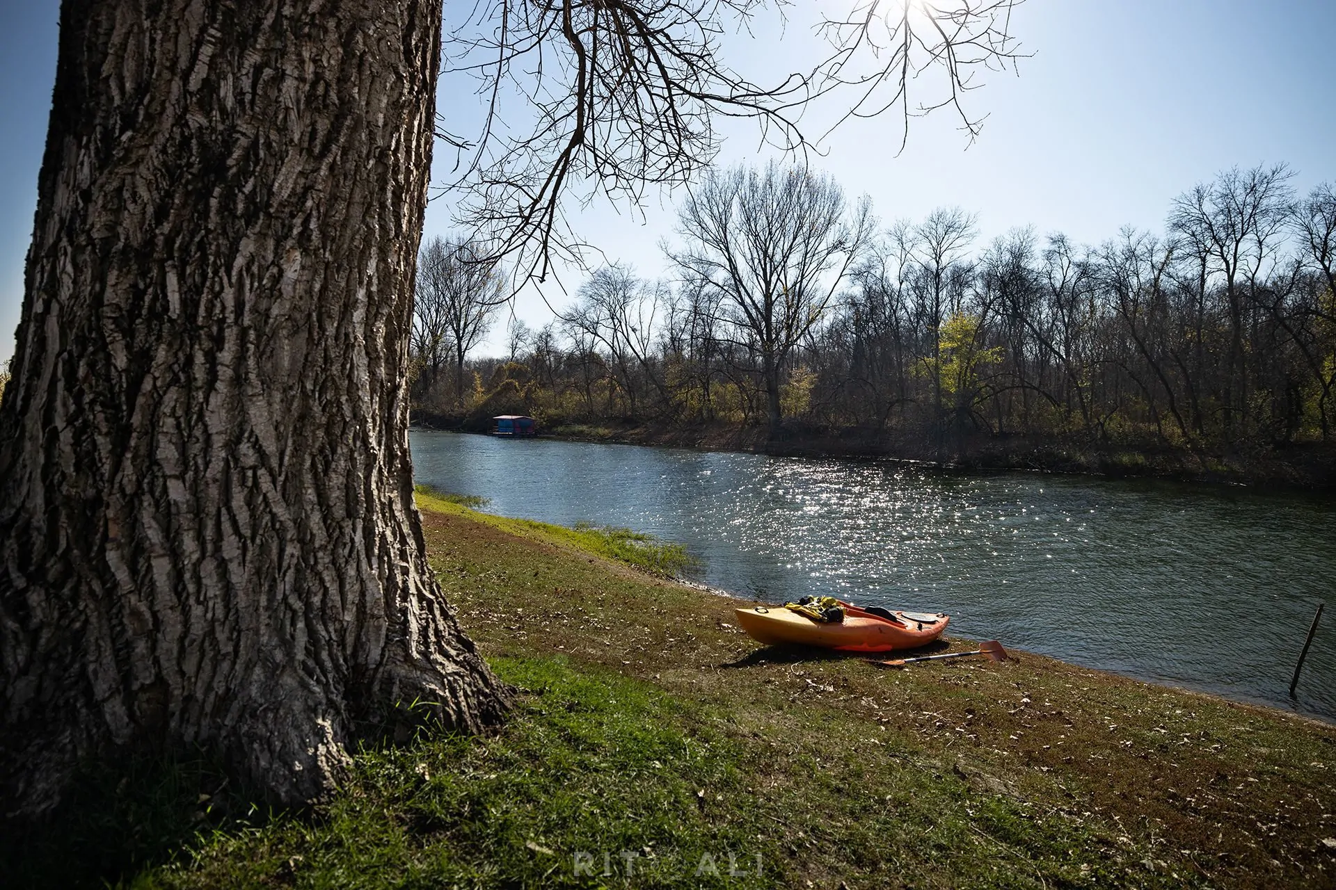 REKA TAMIŠ. GLOGONJ. JESEN NA KAJAKU
