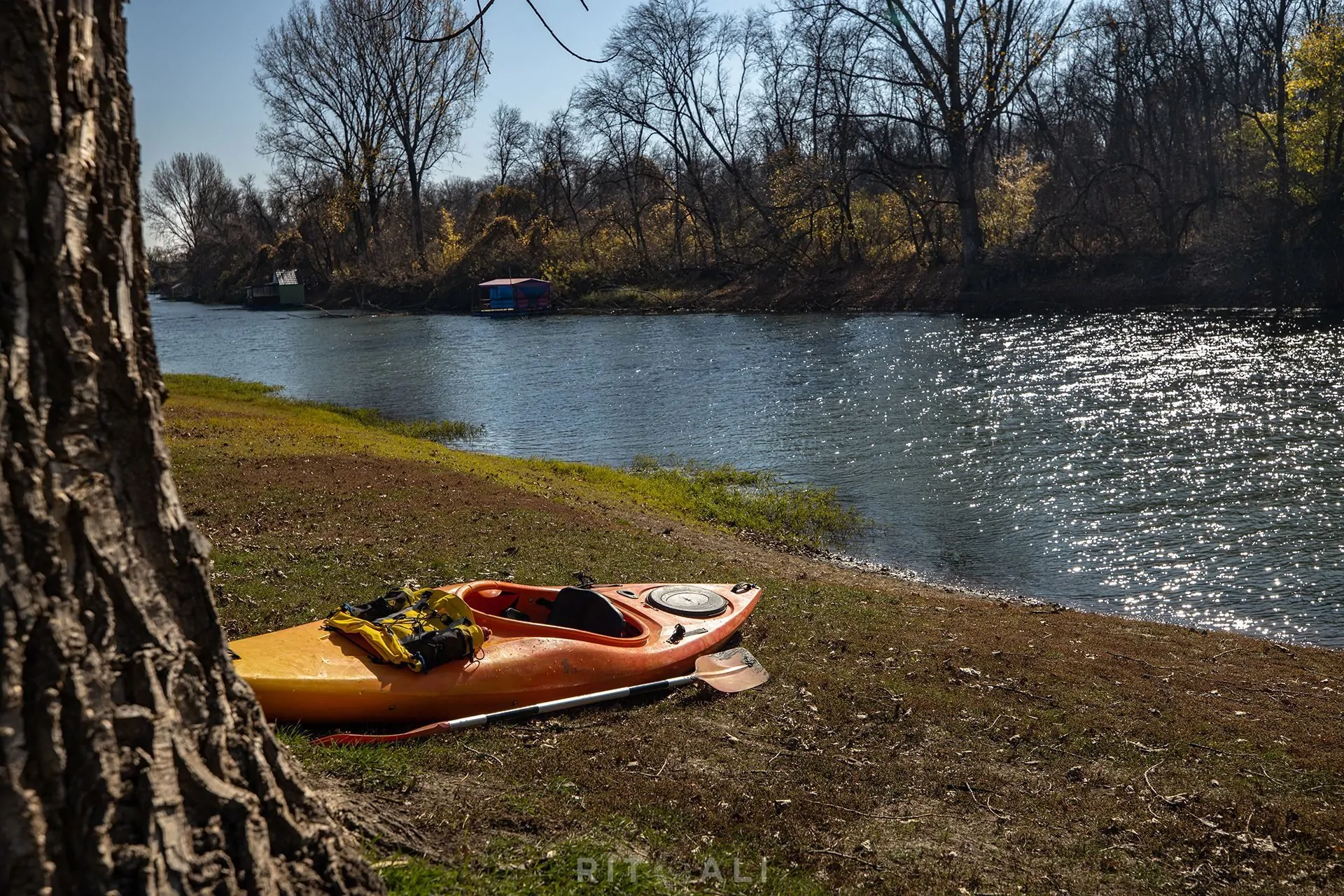 REKA TAMIŠ. GLOGONJ. JESEN NA KAJAKU