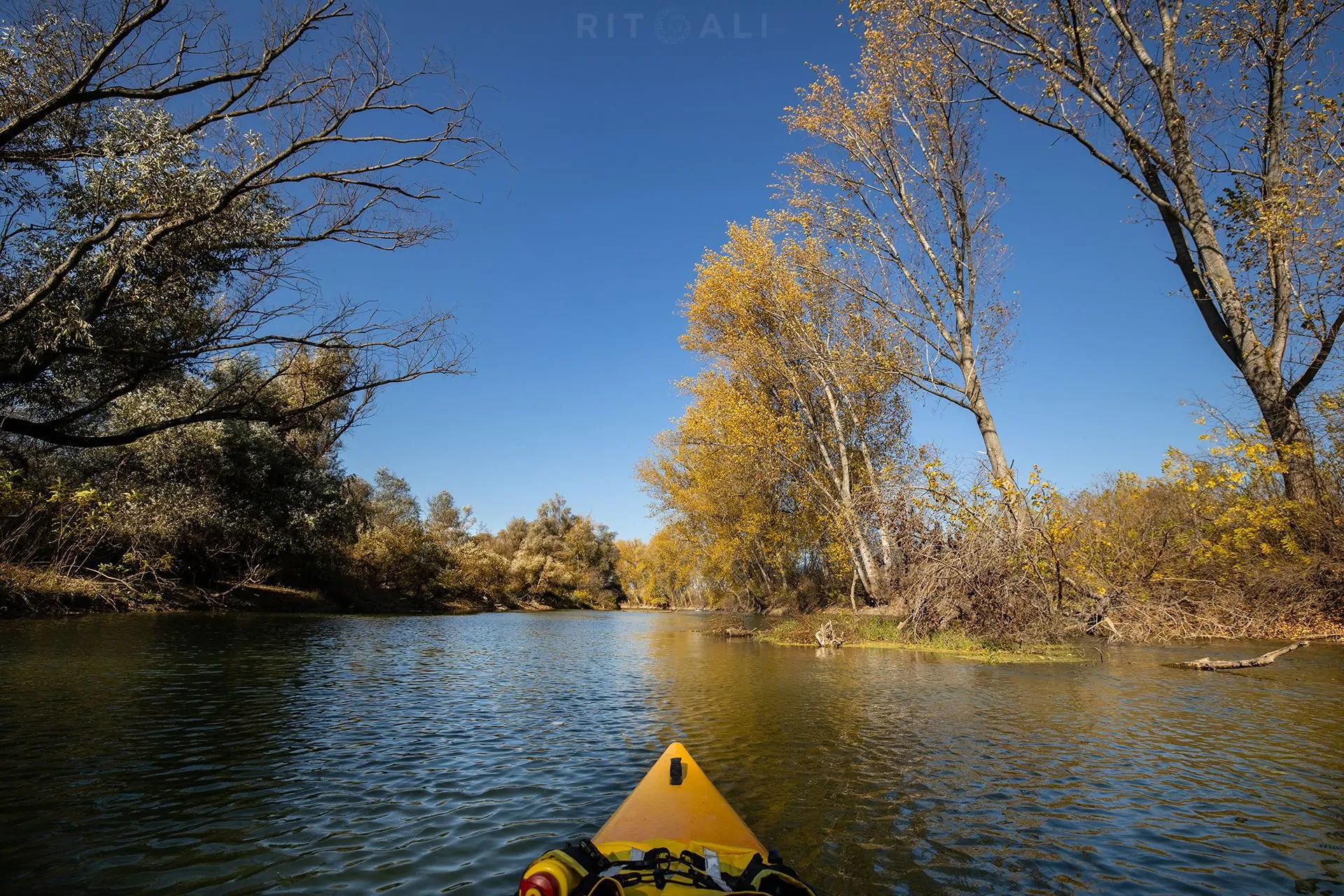REKA TAMIŠ. GLOGONJ. JESEN NA KAJAKU