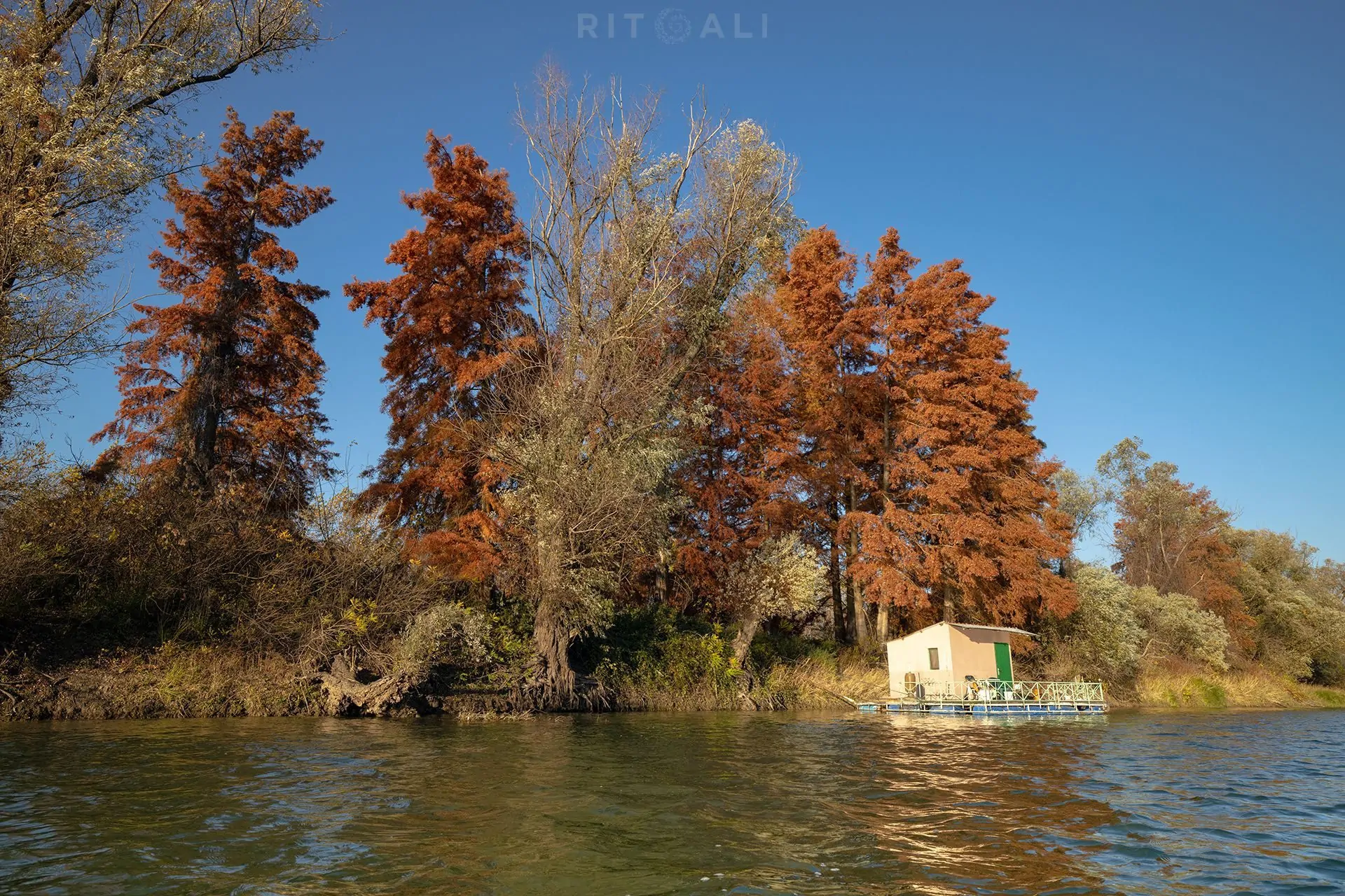 REKA TAMIŠ. GLOGONJ. JESEN NA KAJAKU