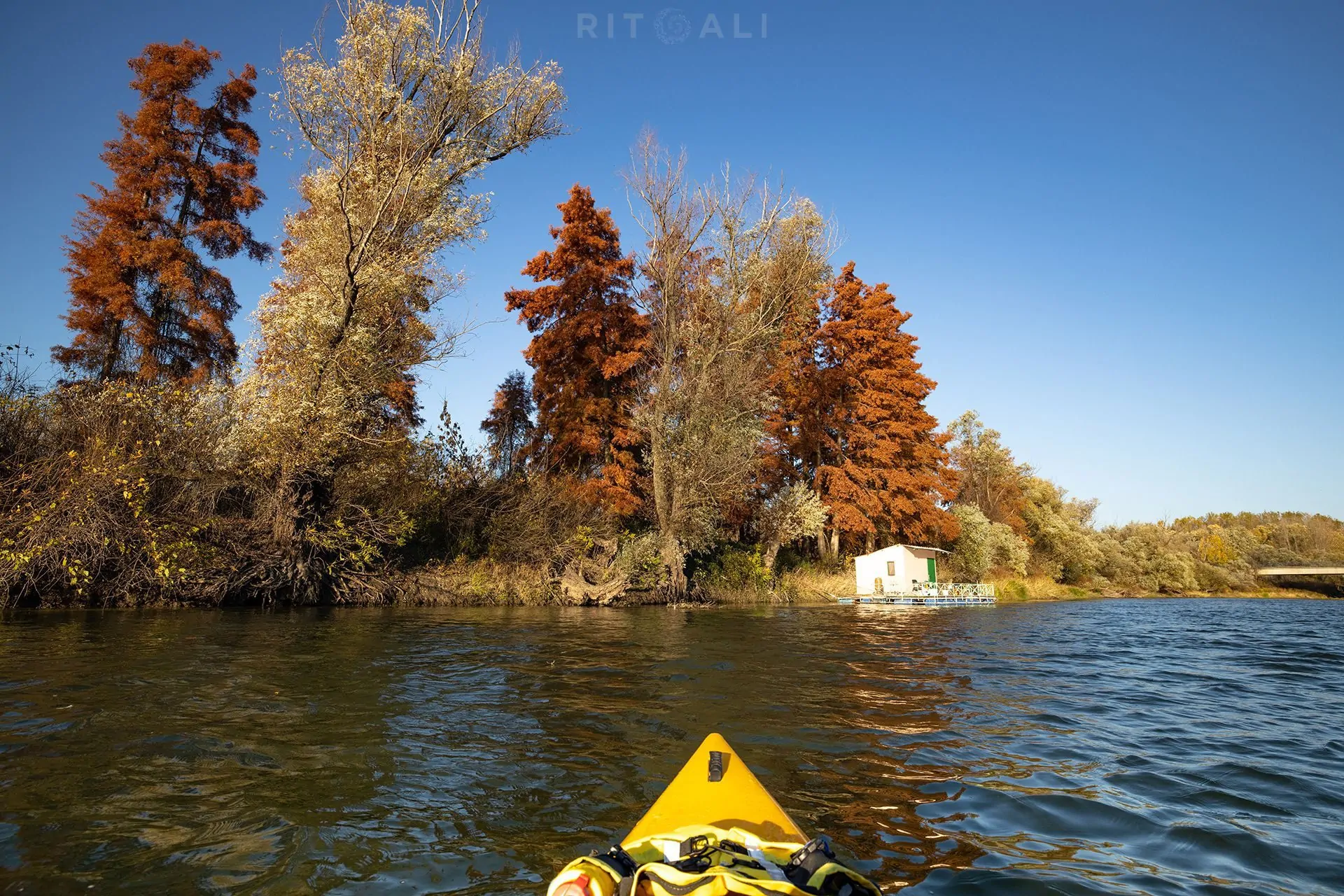 REKA TAMIŠ. GLOGONJ. JESEN NA KAJAKU