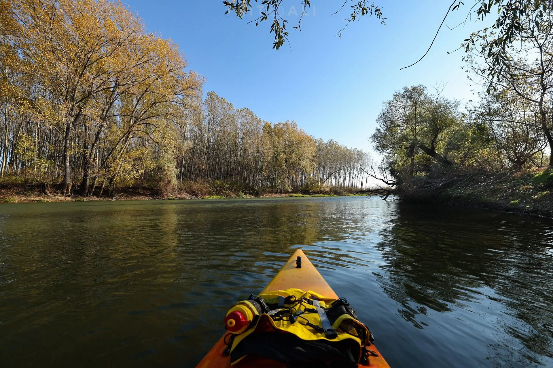 REKA TAMIŠ. GLOGONJ. JESEN NA KAJAKU