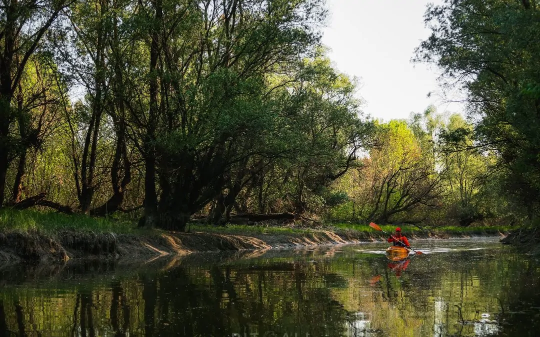 APATINSKI RIT. GORNJE PODUNAVLJE
