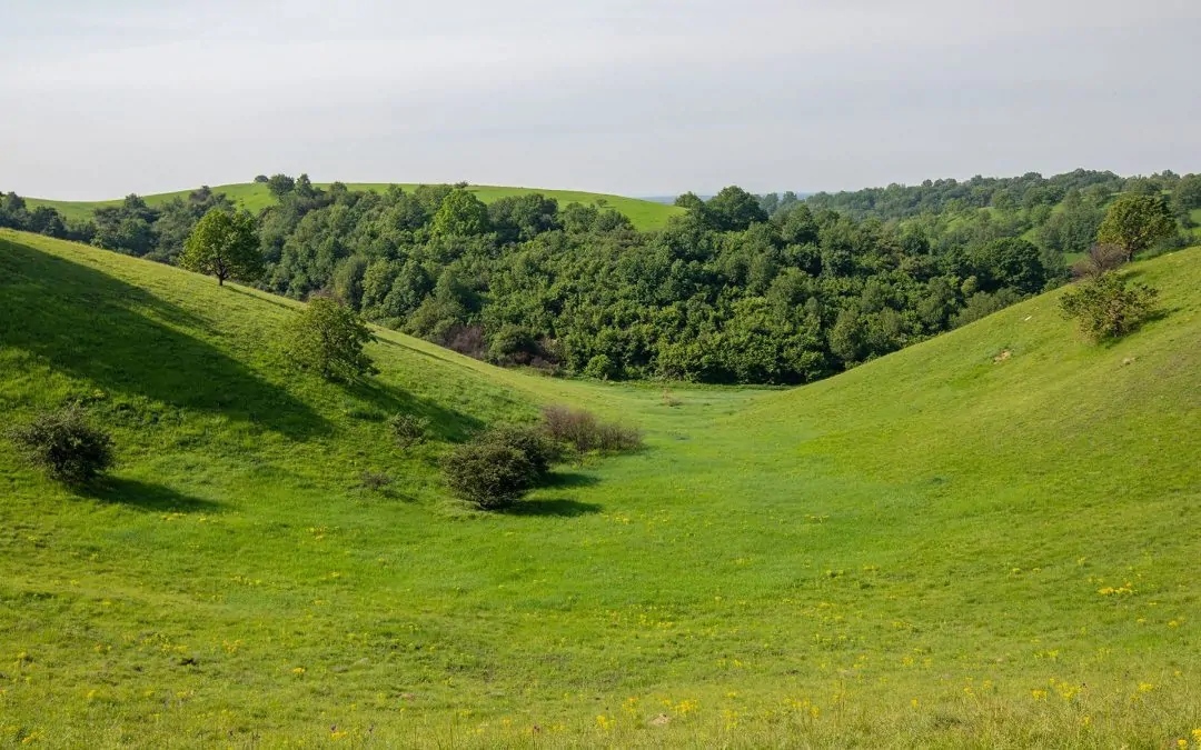 ZAGAJIČKA BRDA. PROGRAM U BOJI