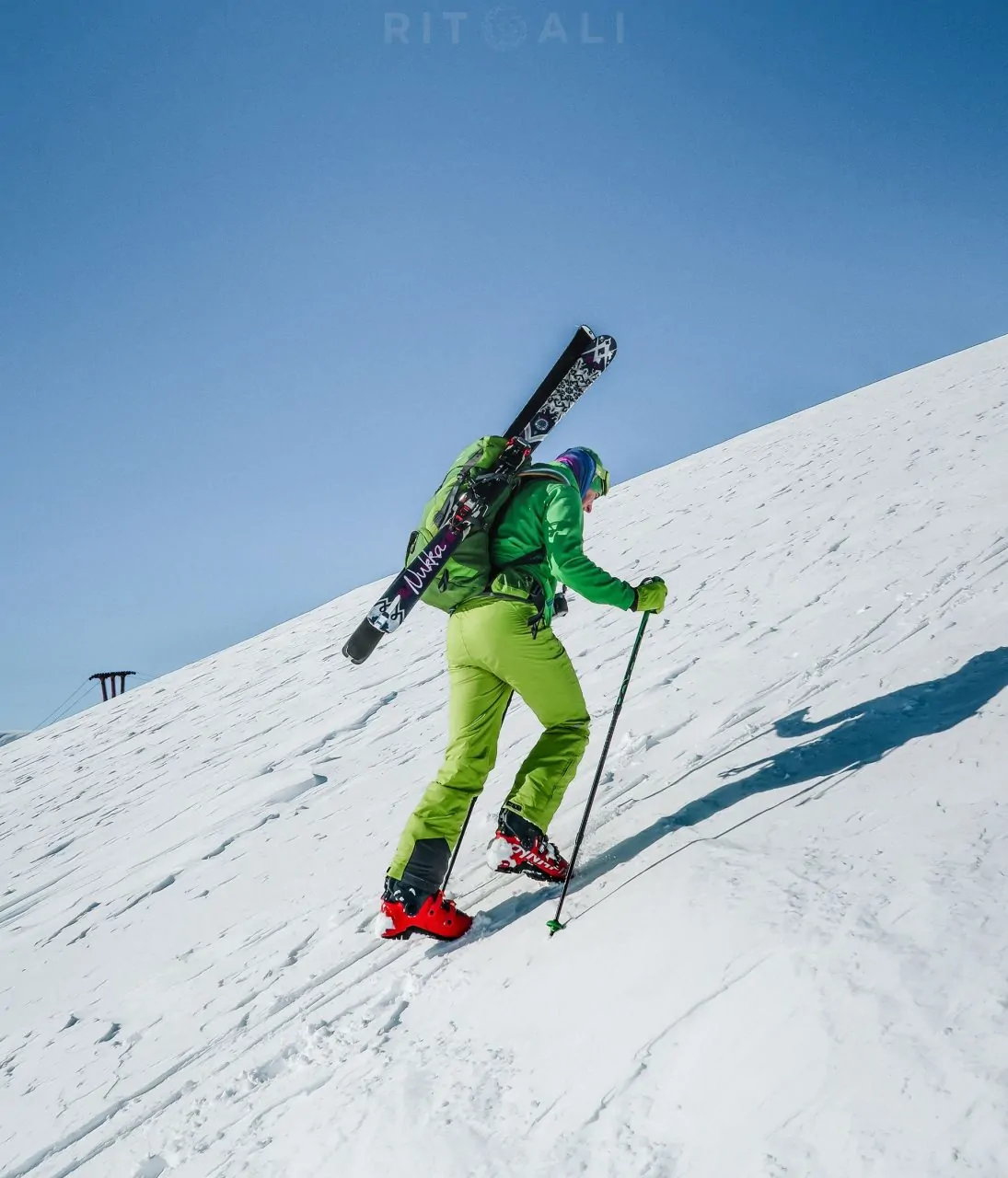 sar planina brezovica
