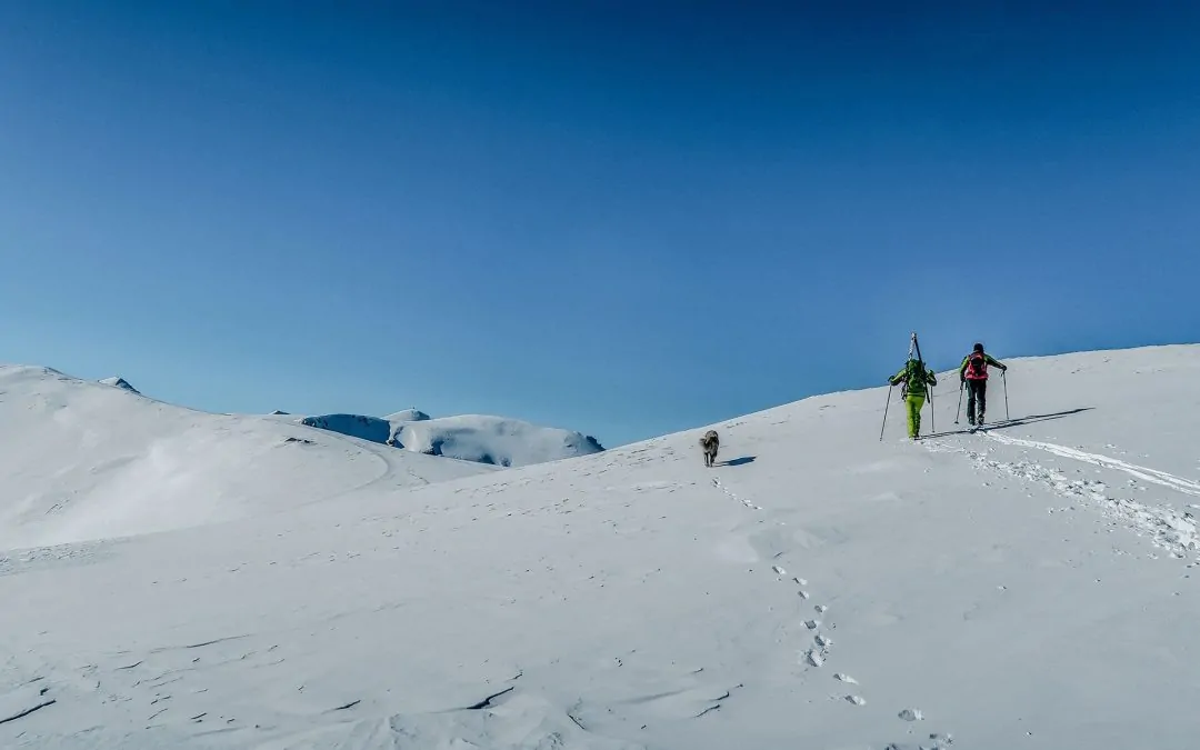 ŠAR PLANINA. SKI TOURING POPOVA ŠAPKA.