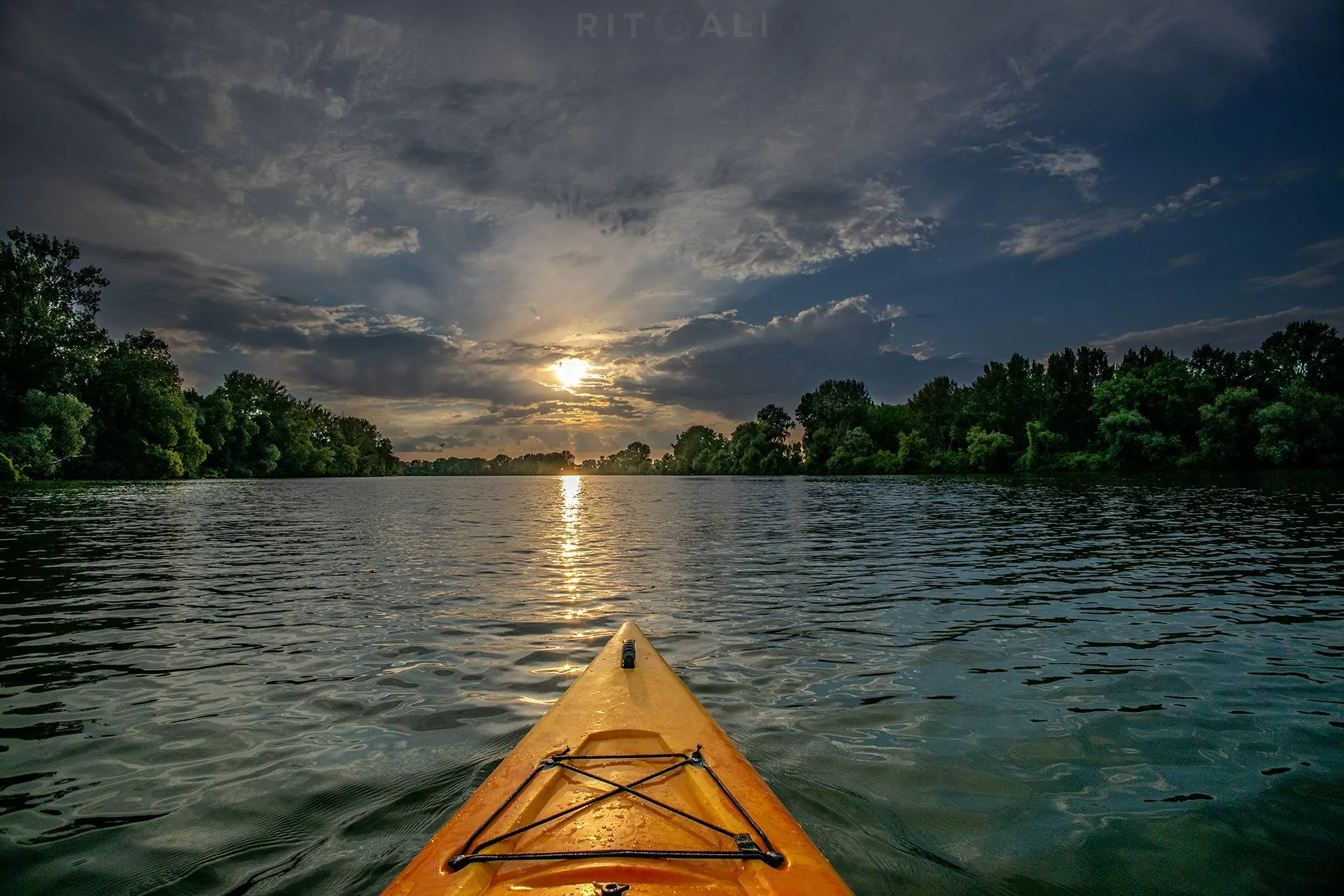 NOVI BEČEJ. ŠTA JE ZAPRAVO TISKI CVET ?