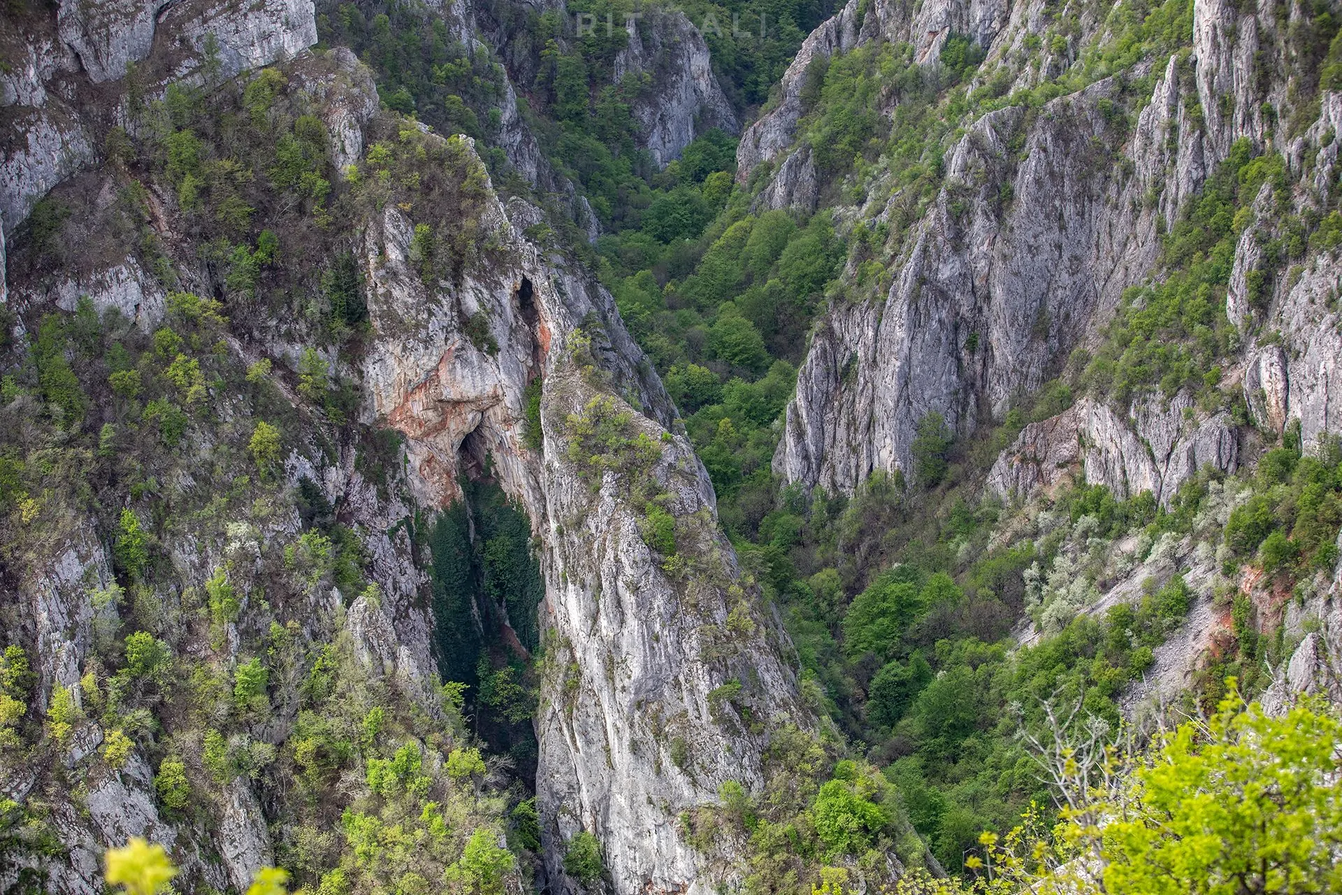 LAZAREV KANJON. VIDIKOVAC KOVEJ