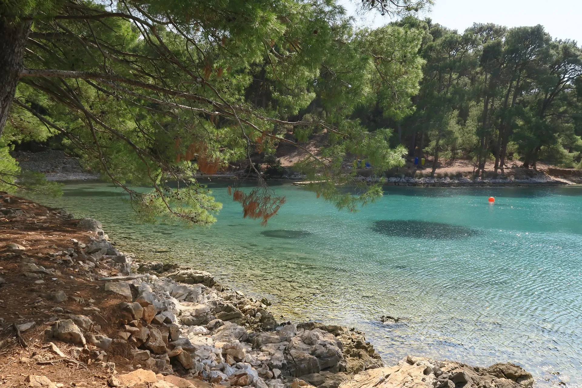 OTOK  LOŠINJ – PUTEVIMA MEDITERANSKIH DELFINA