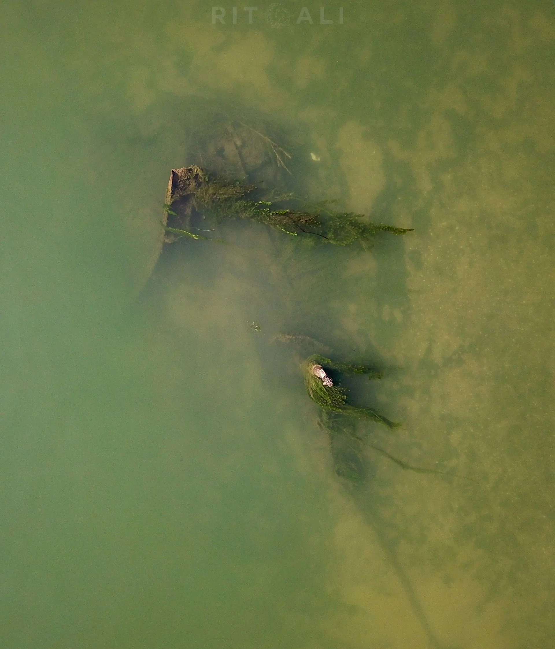 Potopljeni brodovi u Dunavu