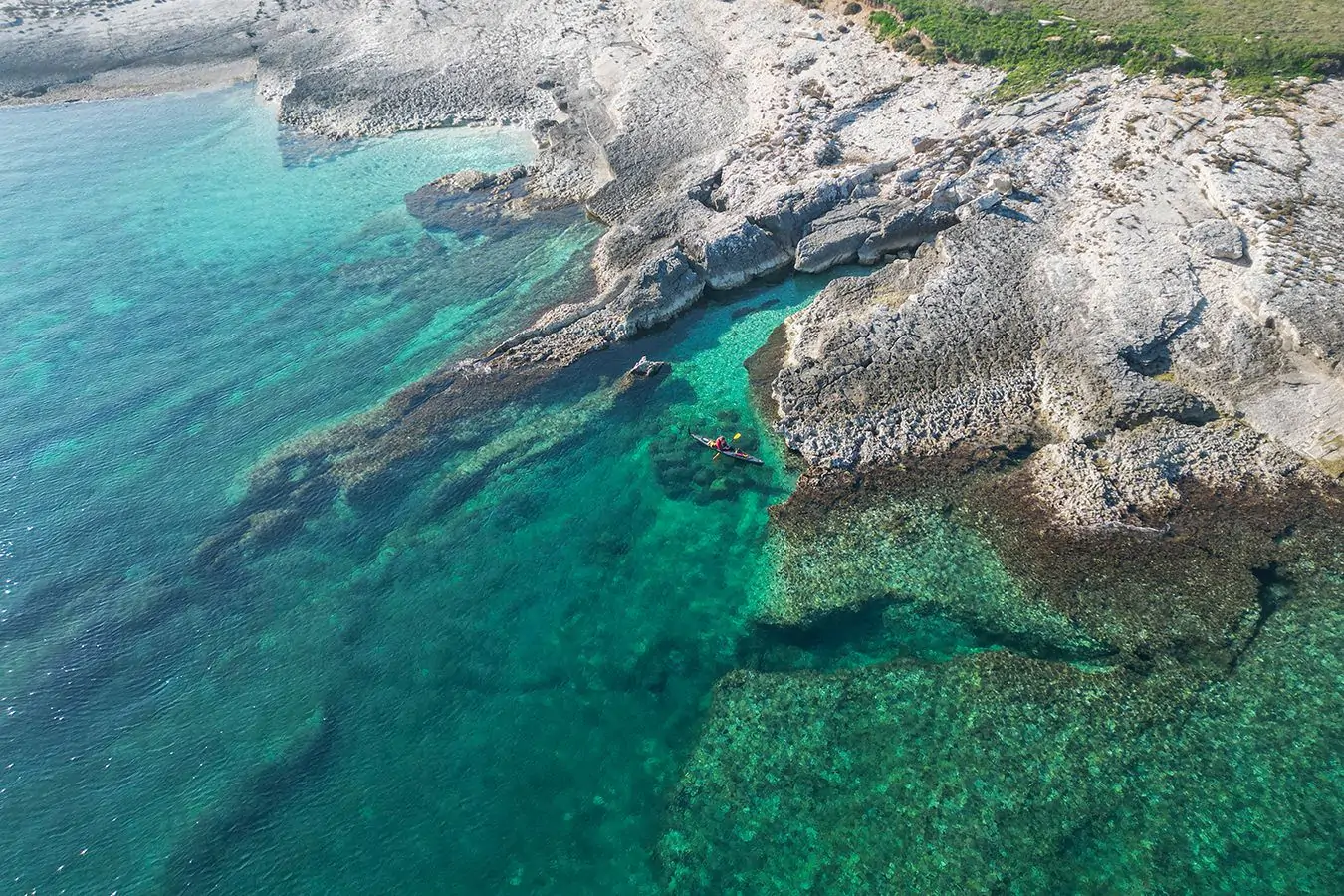 FENOLIGA. OTOK DINOSAURUSA​