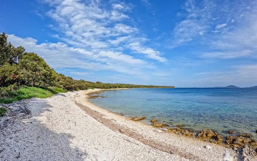otok silba