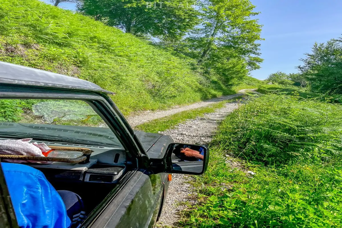 tresteni vrh maganik crna gora