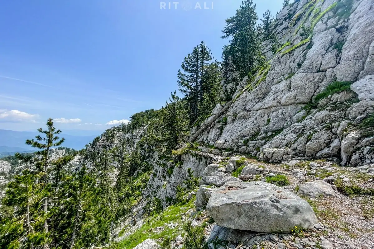 tresteni vrh crna gora