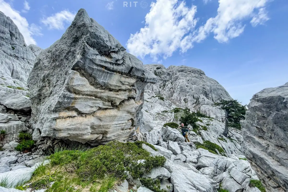 tresteni vrh maganik