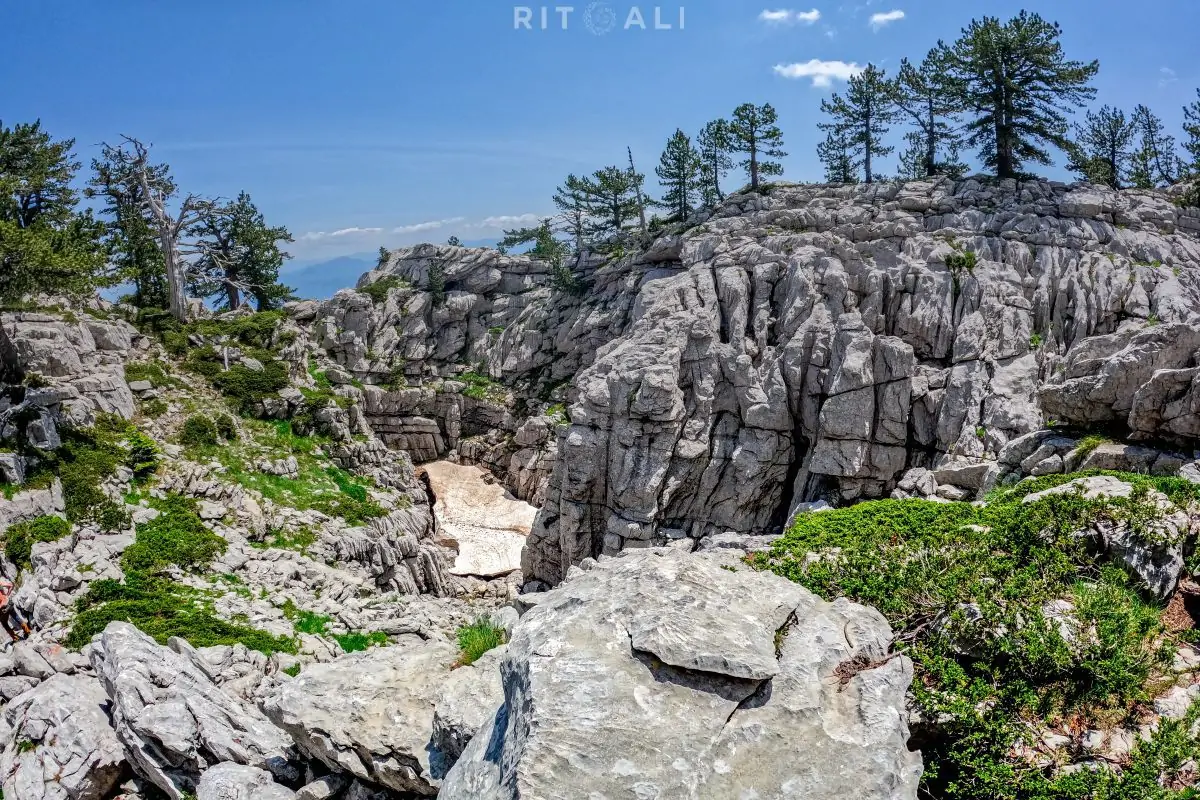 tresteni vrh maganik crna gora