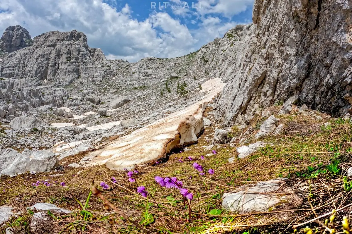 tresteni vrh maganik crna gora