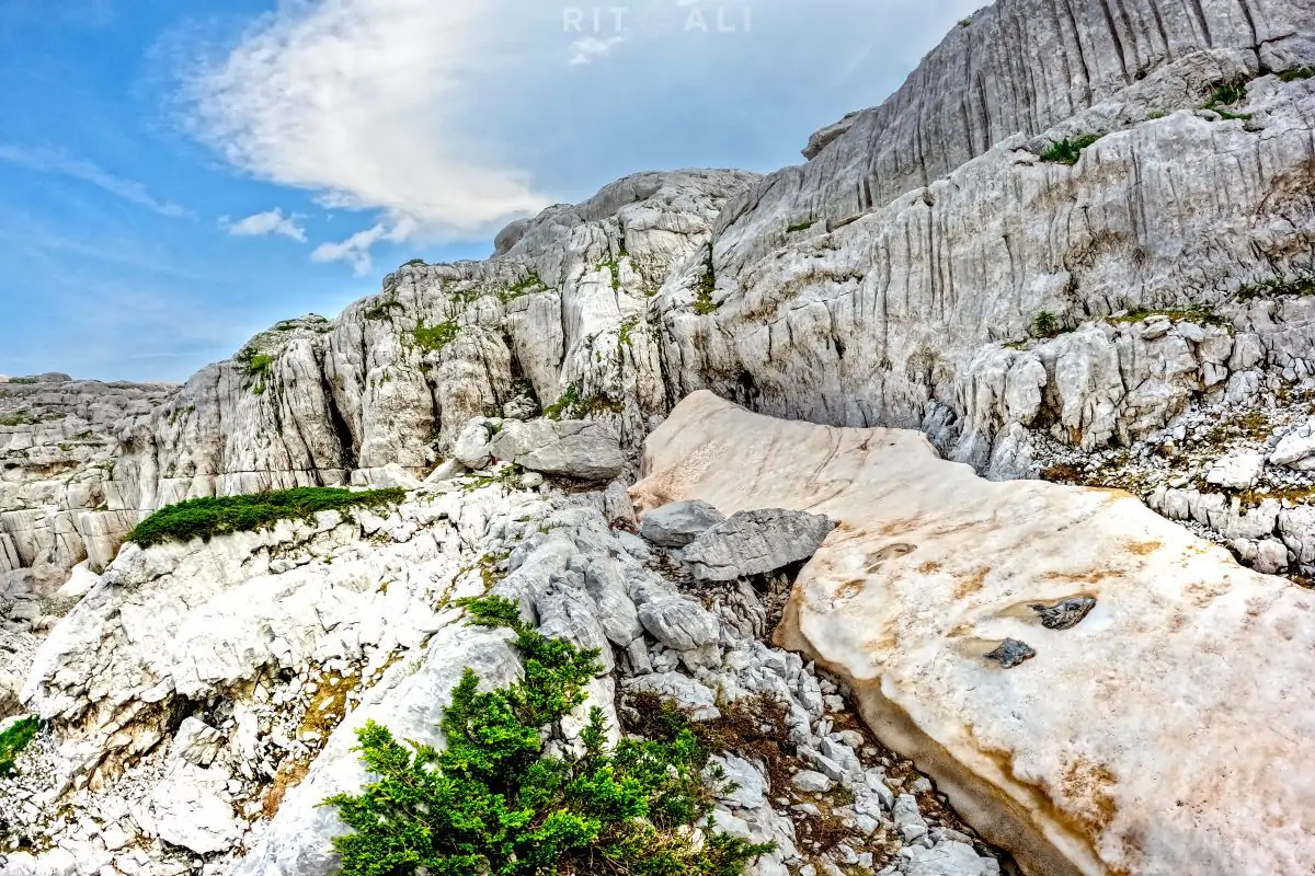 tresteni vrh maganik crna gora