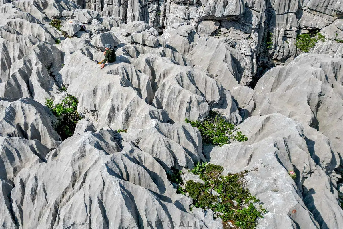 tresteni rh maganik crna gora