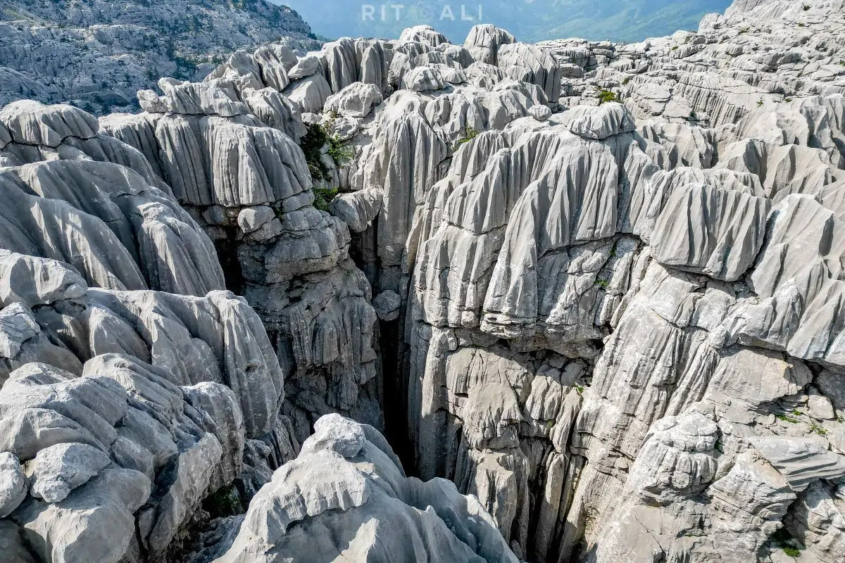 tresteni vrh maganik crna gora